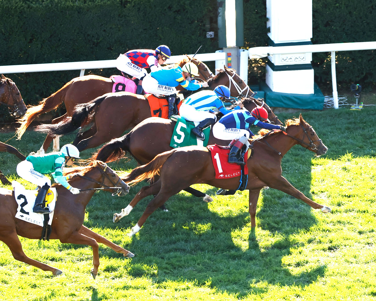 ADONIUS - 100426 - Race 08 - KEE The Indian Summer G3 - Aerial Finish 01