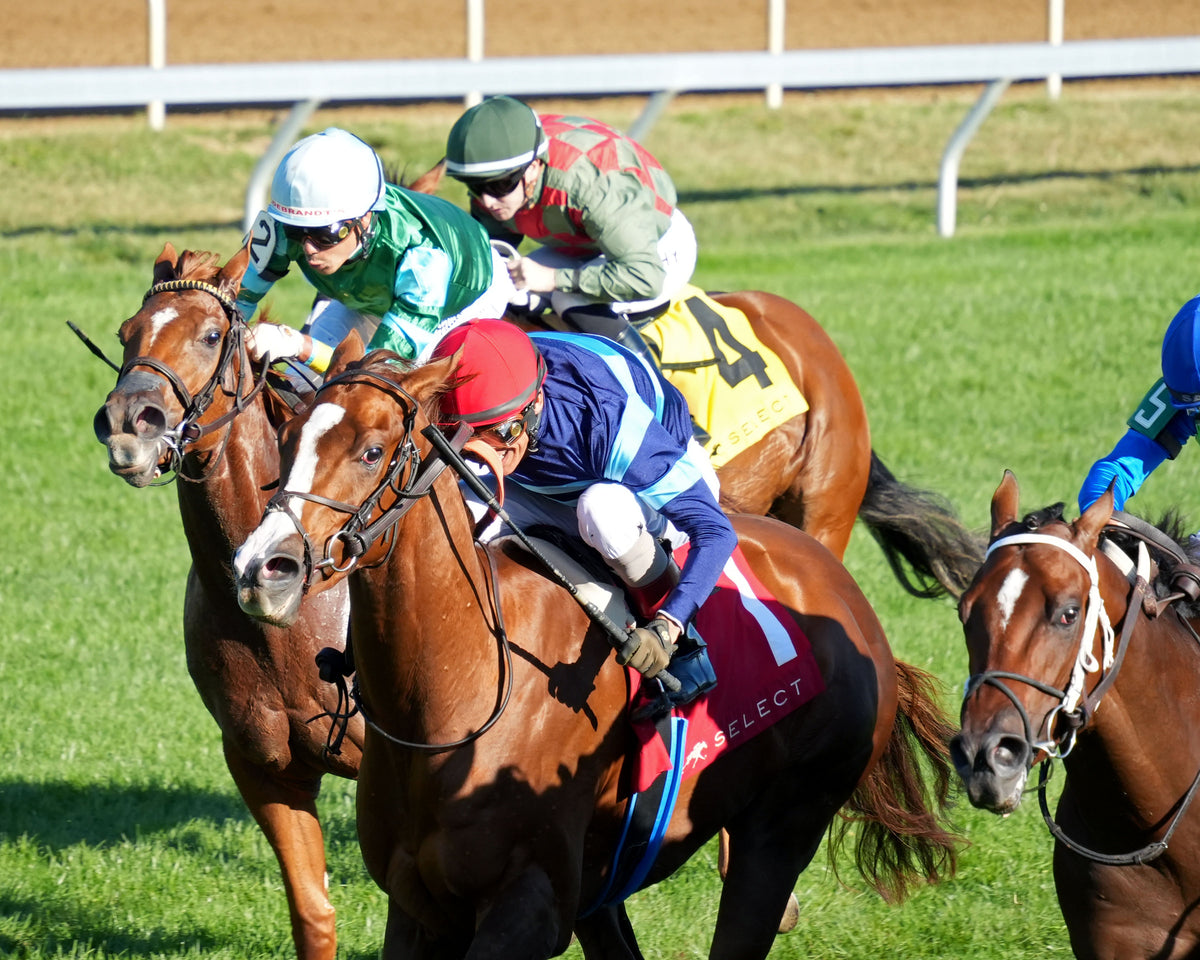 ADONIUS - 100426 - Race 08 - KEE The Indian Summer G3 - Inside Finish 01