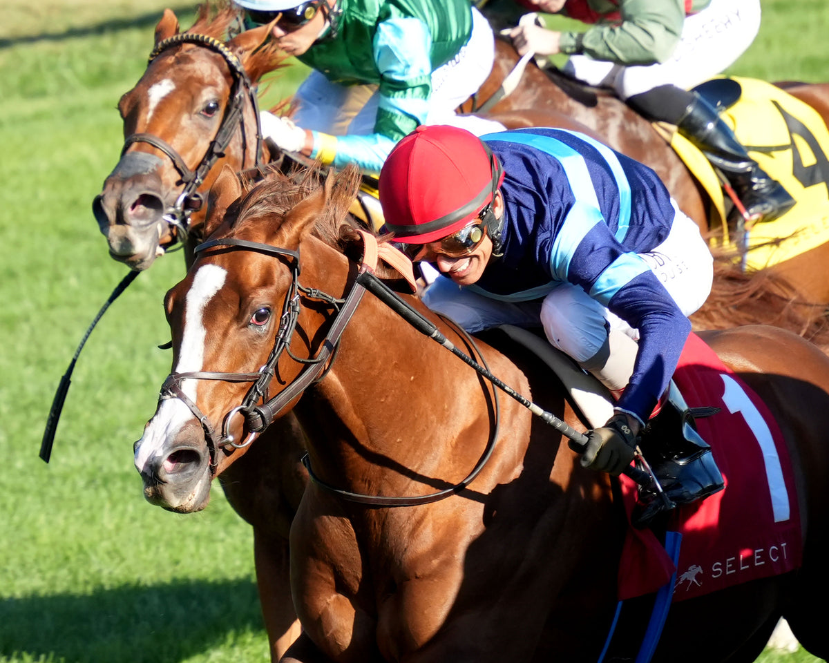 ADONIUS - 100426 - Race 08 - KEE The Indian Summer G3 - Inside Finish 03
