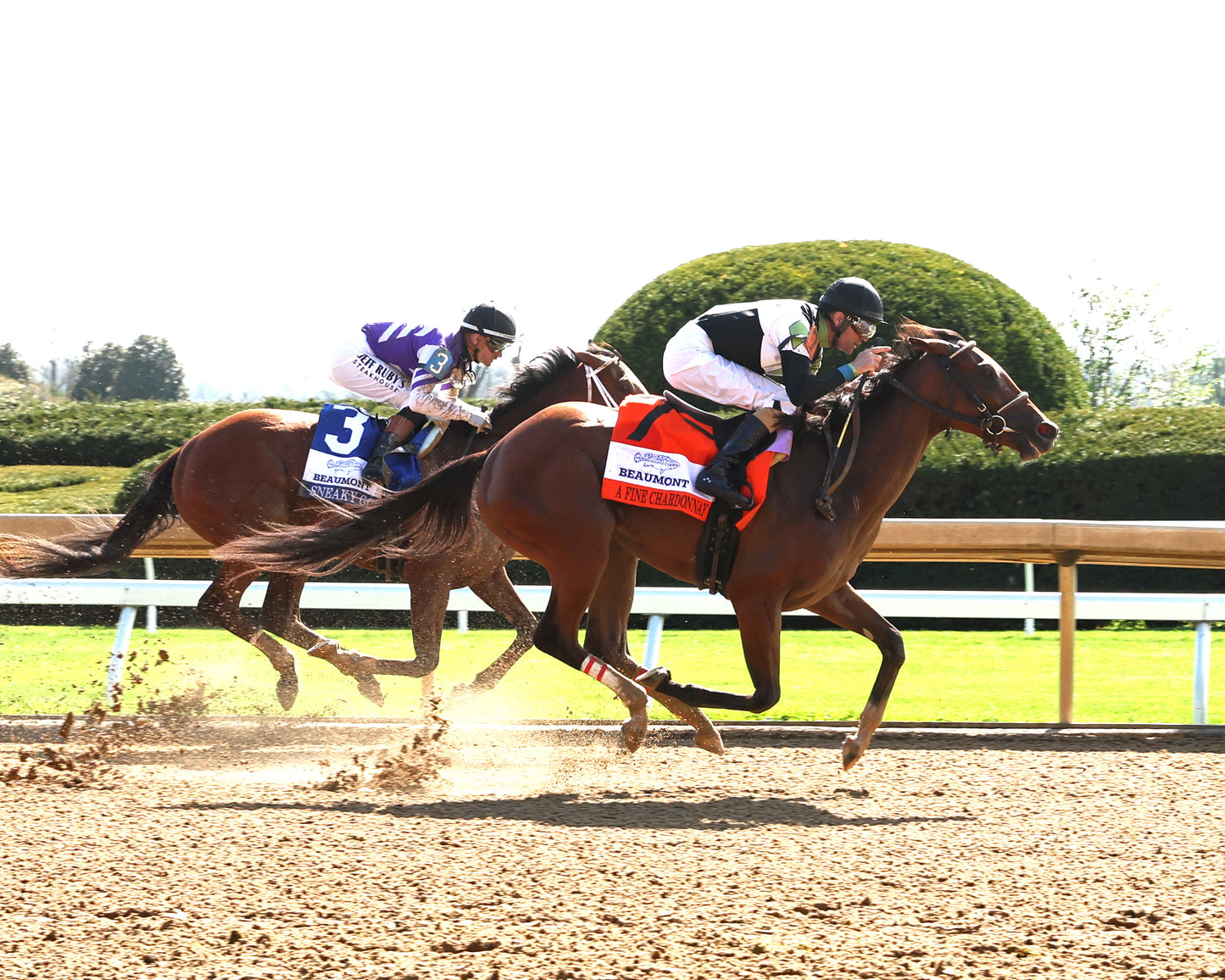 A FINE CHARDONNAY - 040326 - Race 07 - KEE The MiddleGround Capital Beaumont G2 - 41st Running - Finish 01 - Coady Media - Kurtis Coady Photography