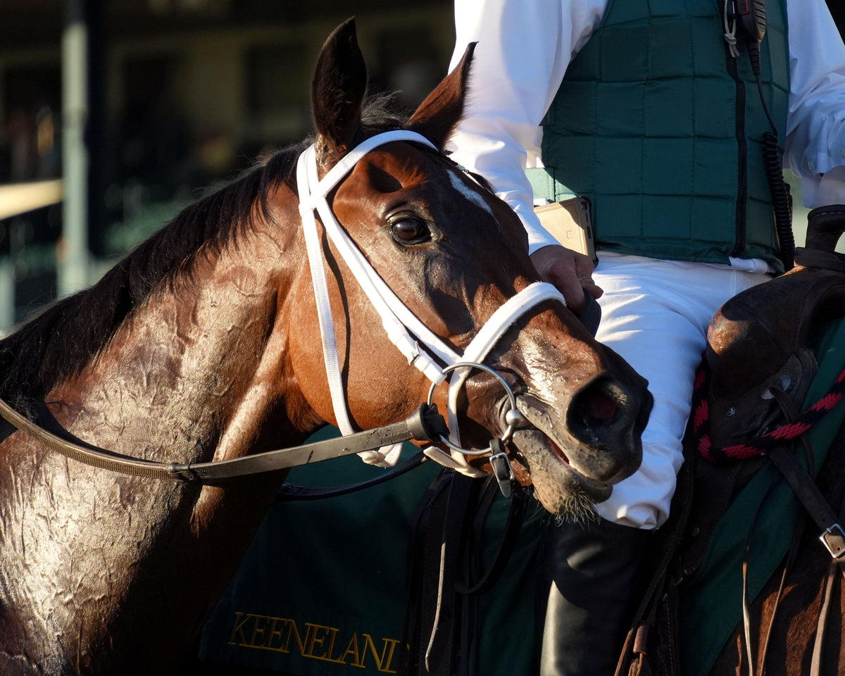 AGATE - 100426 - Race 10 - KEE The Castle & Key Bourbon G2 - Come Back 03