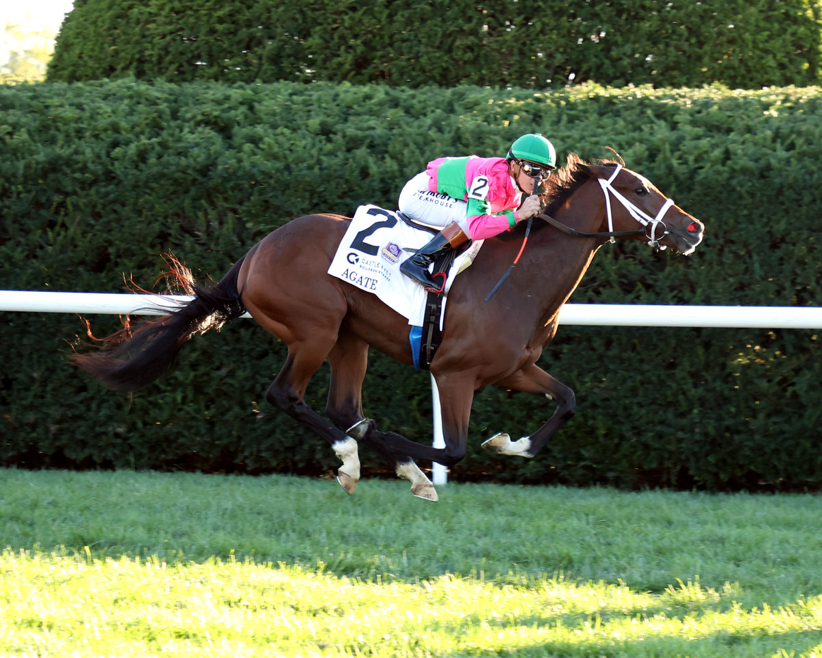 AGATE - 100426 - Race 10 - KEE The Castle & Key Bourbon G2 - Finish 04