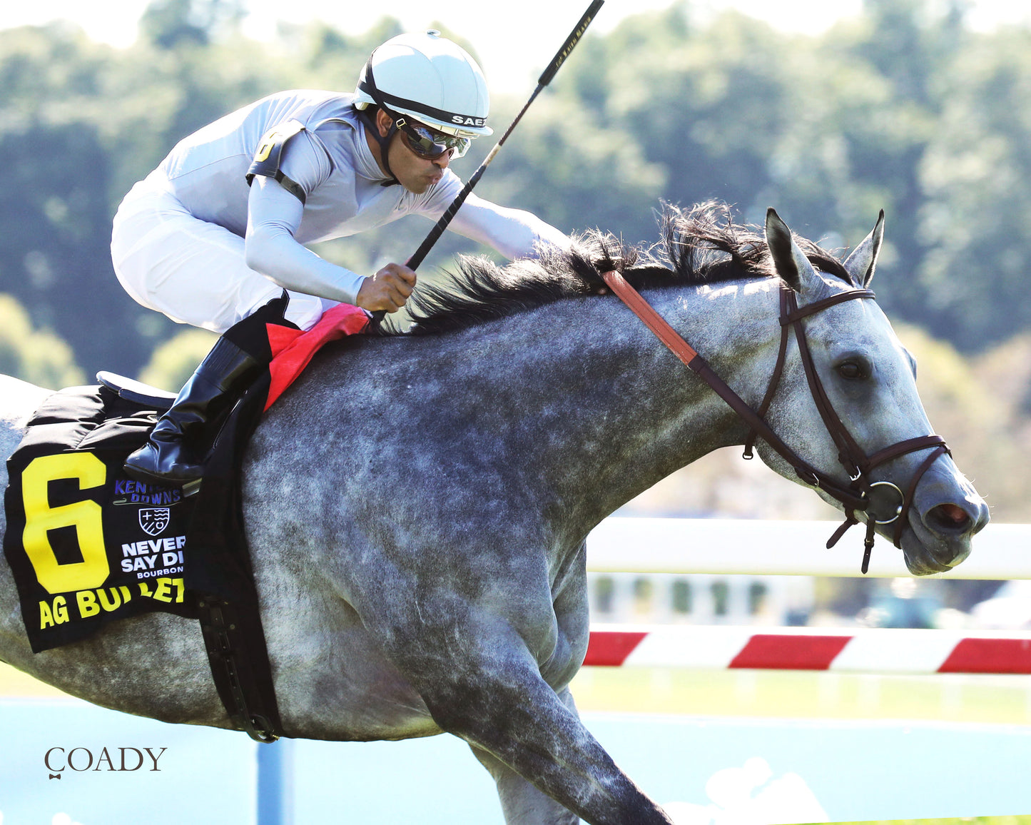 AG BULLET - Never Say Die Ladies Turf Sprint Stakes - G2 - 08-30-25 - R08 - KD - Finish 03 - Coady Media - Kurtis Coady Photography