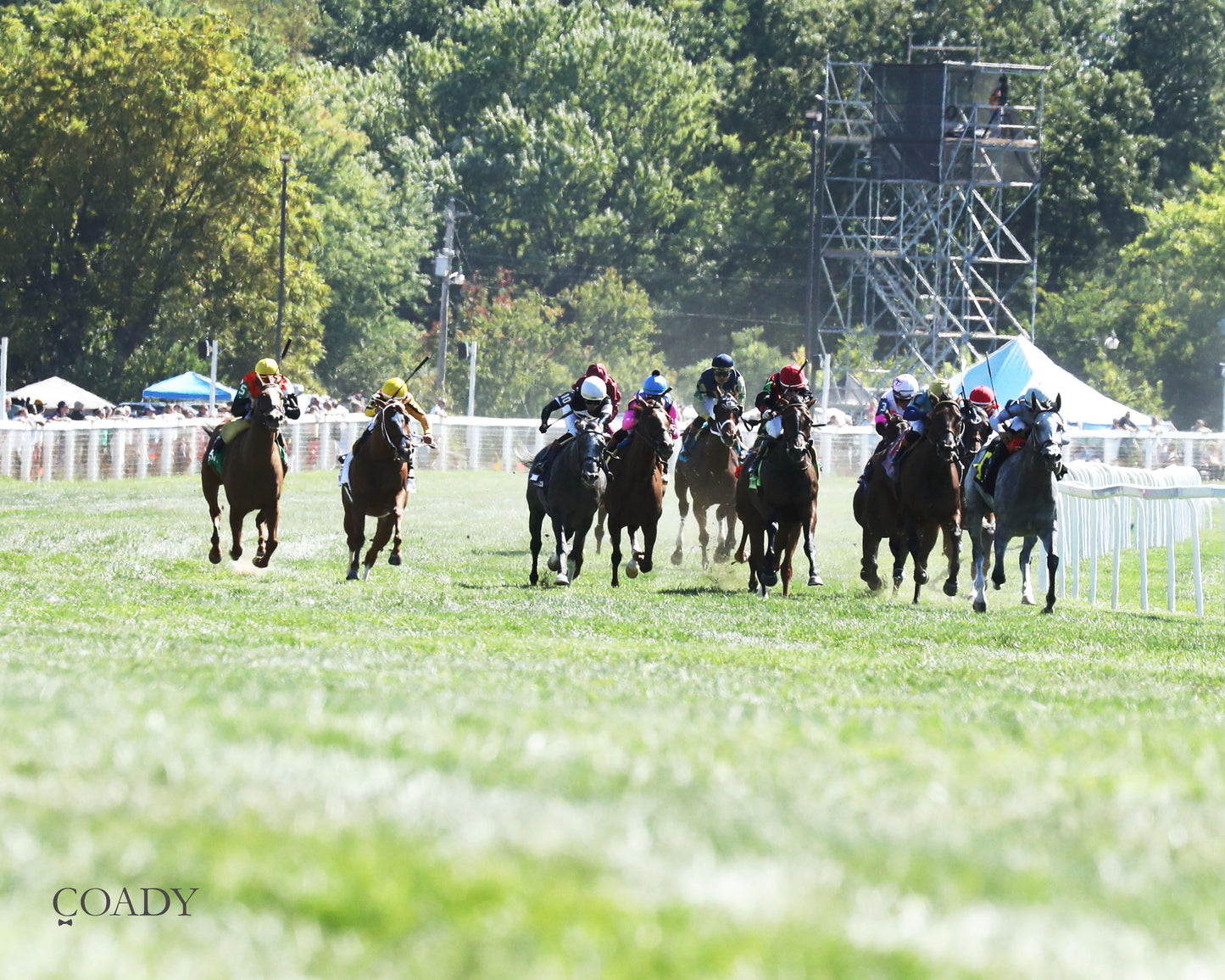 AG BULLET - Never Say Die Ladies Turf Sprint Stakes - G2 - 08-30-25 - R08 - KD - Head On 01 - Coady Media - Kurtis Coady Photography