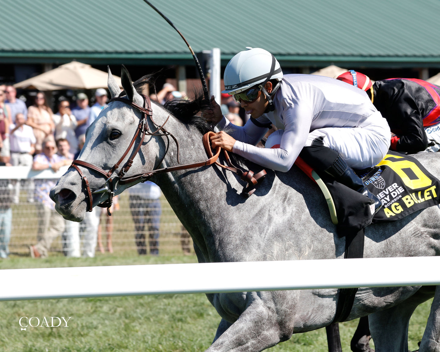 AG BULLET - Never Say Die Ladies Turf Sprint Stakes - G2 - 08-30-25 - R08 - KD - Inside Finish 02 - Coady Media - Kurtis Coady Photography