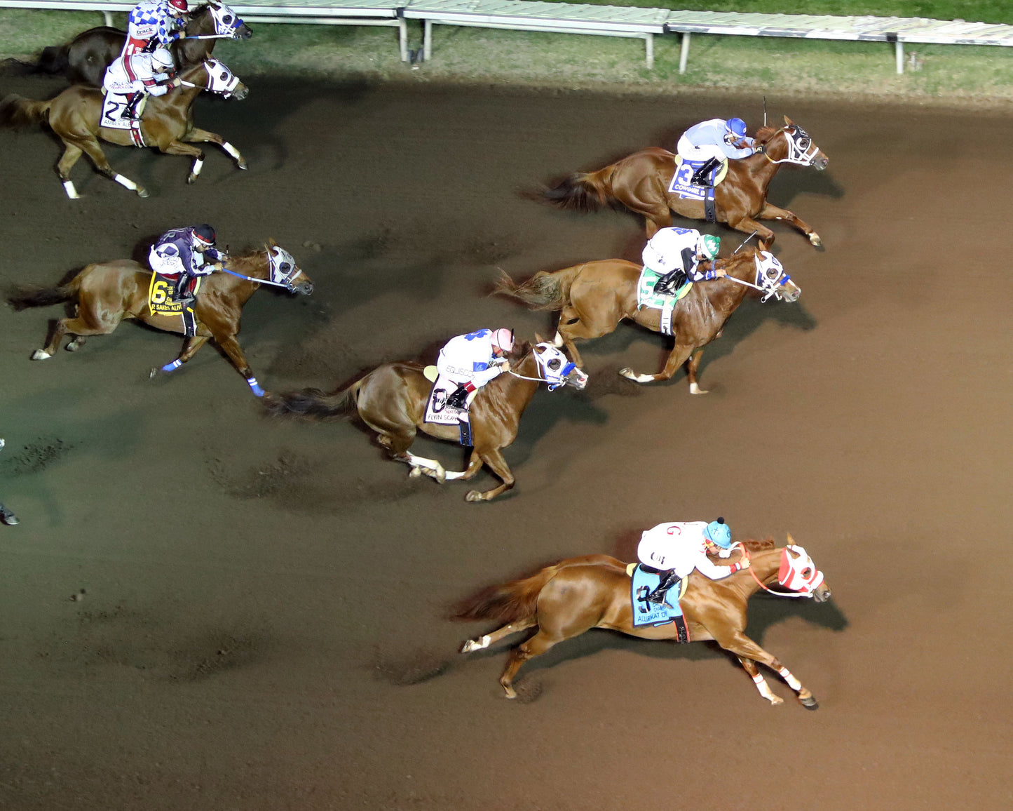 ALLIEKAT DYNASTY - The Cox Ranch Distaff Challenge Championship Gl - 10-18-25 - R07 - ALB