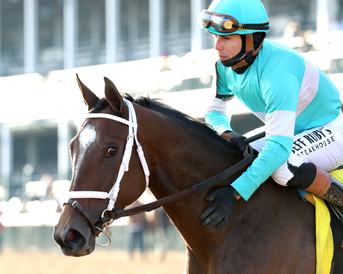 ALPINE PRINCESS - The Falls City G3 - 11-27-25 - R10 - CD - Come Back 01