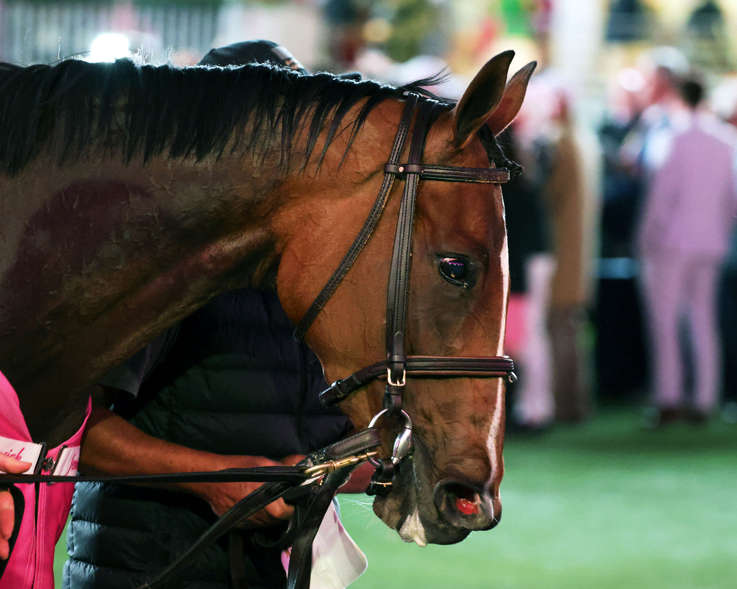 ALWAYS A RUNNER - 050126 - Race 13 - CD The Longines Kentucky Oaks G1 - 152nd Running - Come Back 04 - Coady Media - Kurtis Coady Photography