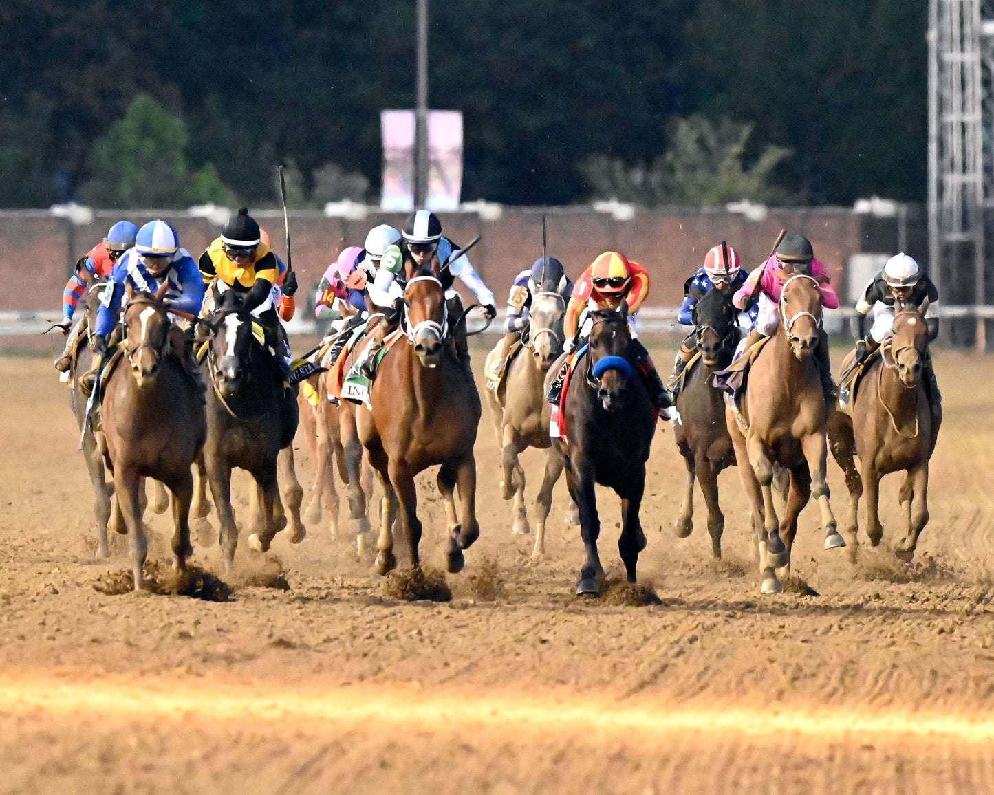 ALWAYS A RUNNER - 050126 - Race 13 - CD The Longines Kentucky Oaks G1 - 152nd Running - Head on 02 - Coady Media - Kurtis Coady Photography