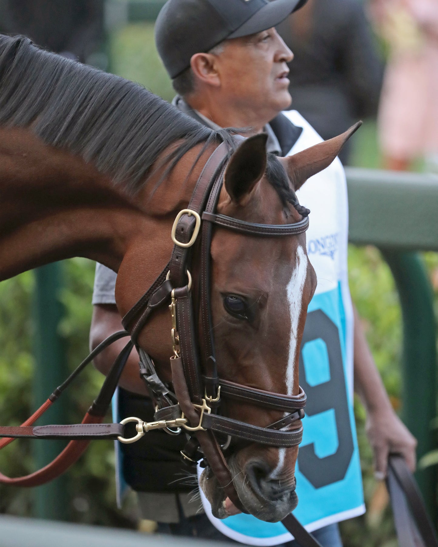 ALWAYS A RUNNER - 050126 - Race 13 - CD The Longines Kentucky Oaks G1 - 152nd Running -Paddock 01 - Coady Media - Kurtis Coady Photography