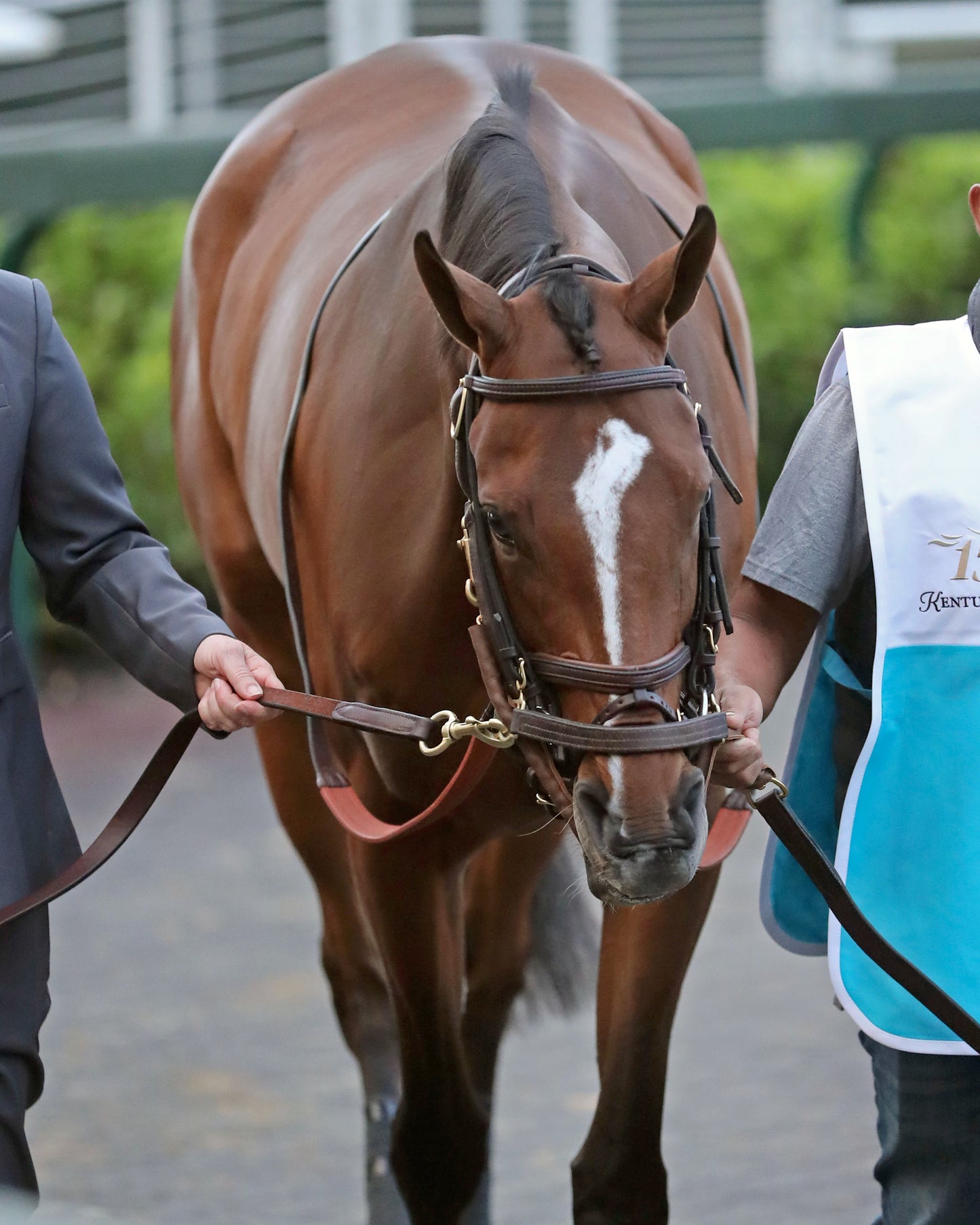 ALWAYS A RUNNER - 050126 - Race 13 - CD The Longines Kentucky Oaks G1 - 152nd Running -Paddock 02 - Coady Media - Kurtis Coady Photography