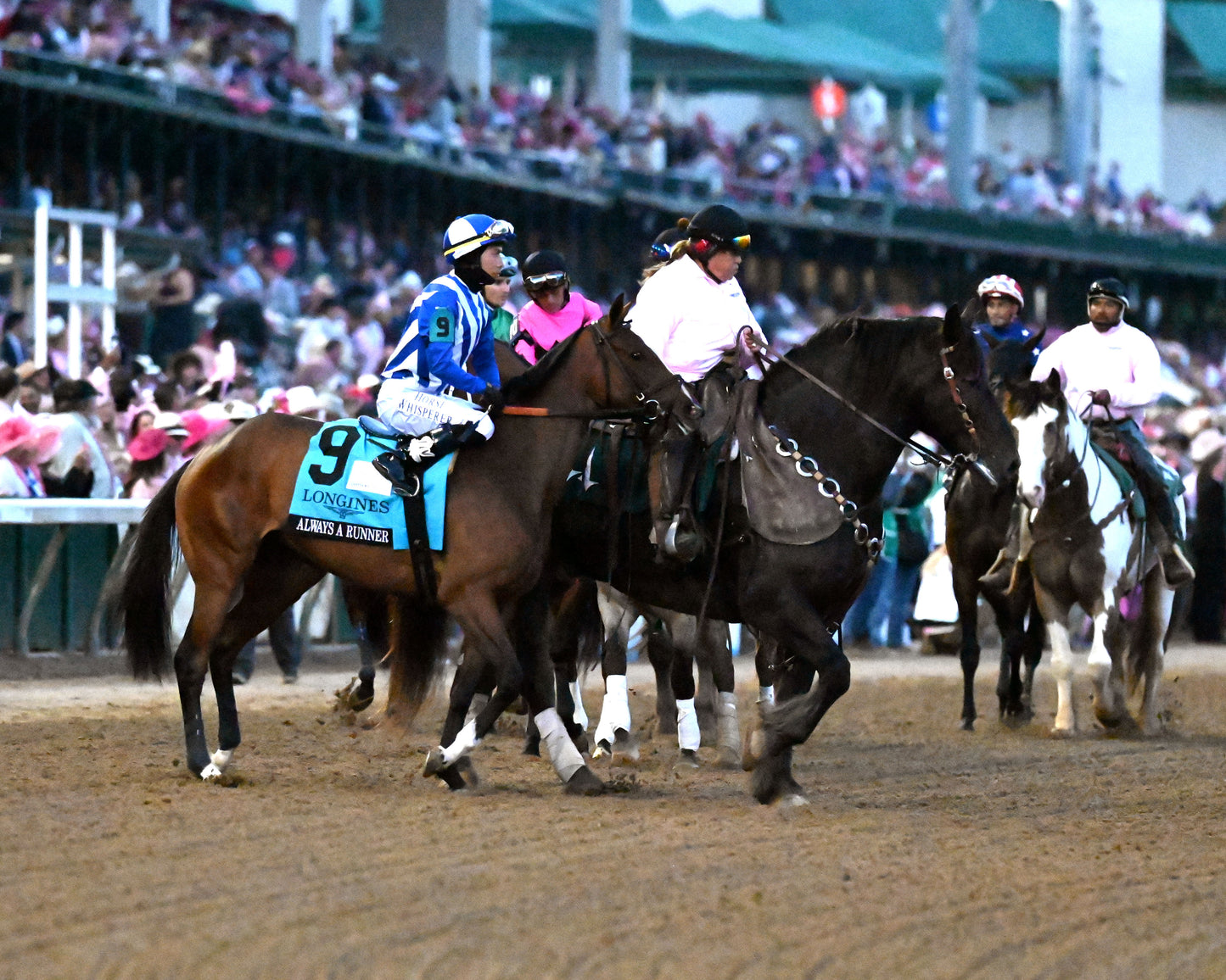 ALWAYS A RUNNER - 050126 - Race 13 - CD The Longines Kentucky Oaks G1 - 152nd Running - Post Parade 04 - Coady Media - Kurtis Coady Photography