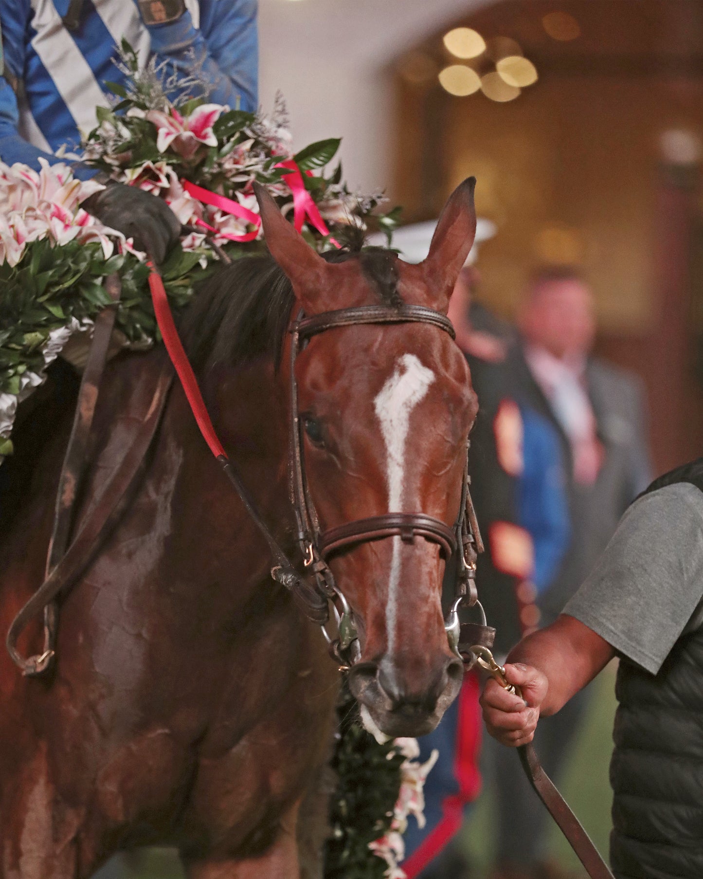 ALWAYS A RUNNER - 050126 - Race 13 - CD The Longines Kentucky Oaks G1 - 152nd Running - Winners Circle 03 - Coady Media - Kurtis Coady Photography