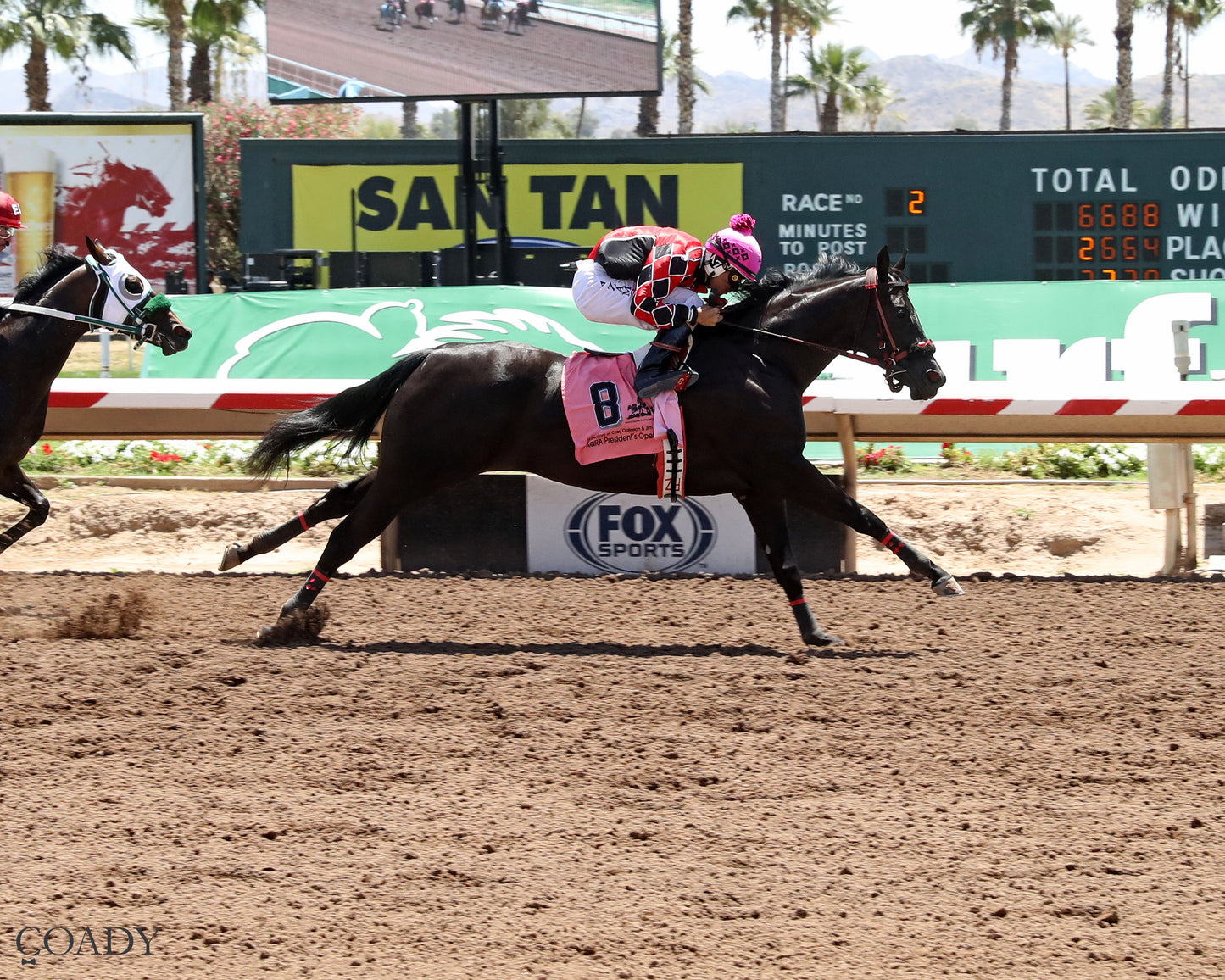 ANNES DYNASTY - AQRA Open President's Spring Futurity - 05-02-26 - R02 - TUP - Finish - Coady Media - Kurtis Coady Photography