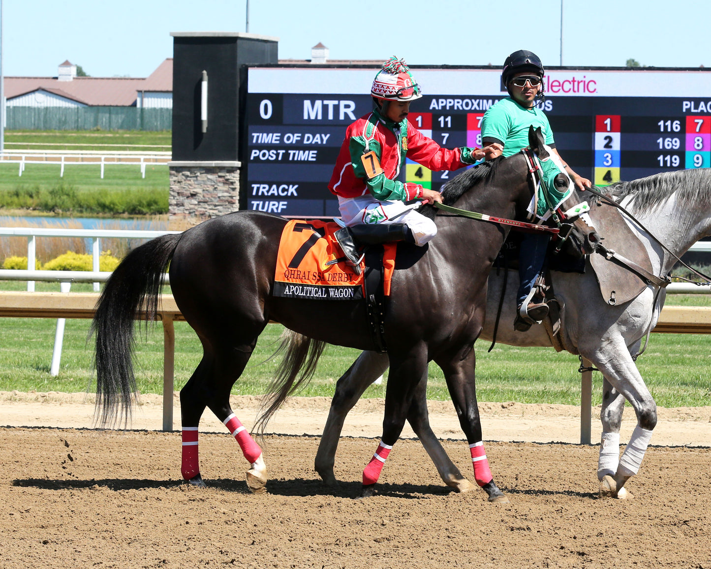 APOLITICAL WAGON - QHRAI Stallion Service Auction Derby Finals - 08-30-25 - R09 - Horseshoe Indiana - Post Parade 02 - Sammantha Pagels - Coady Media - Kurtis Coady Photography
