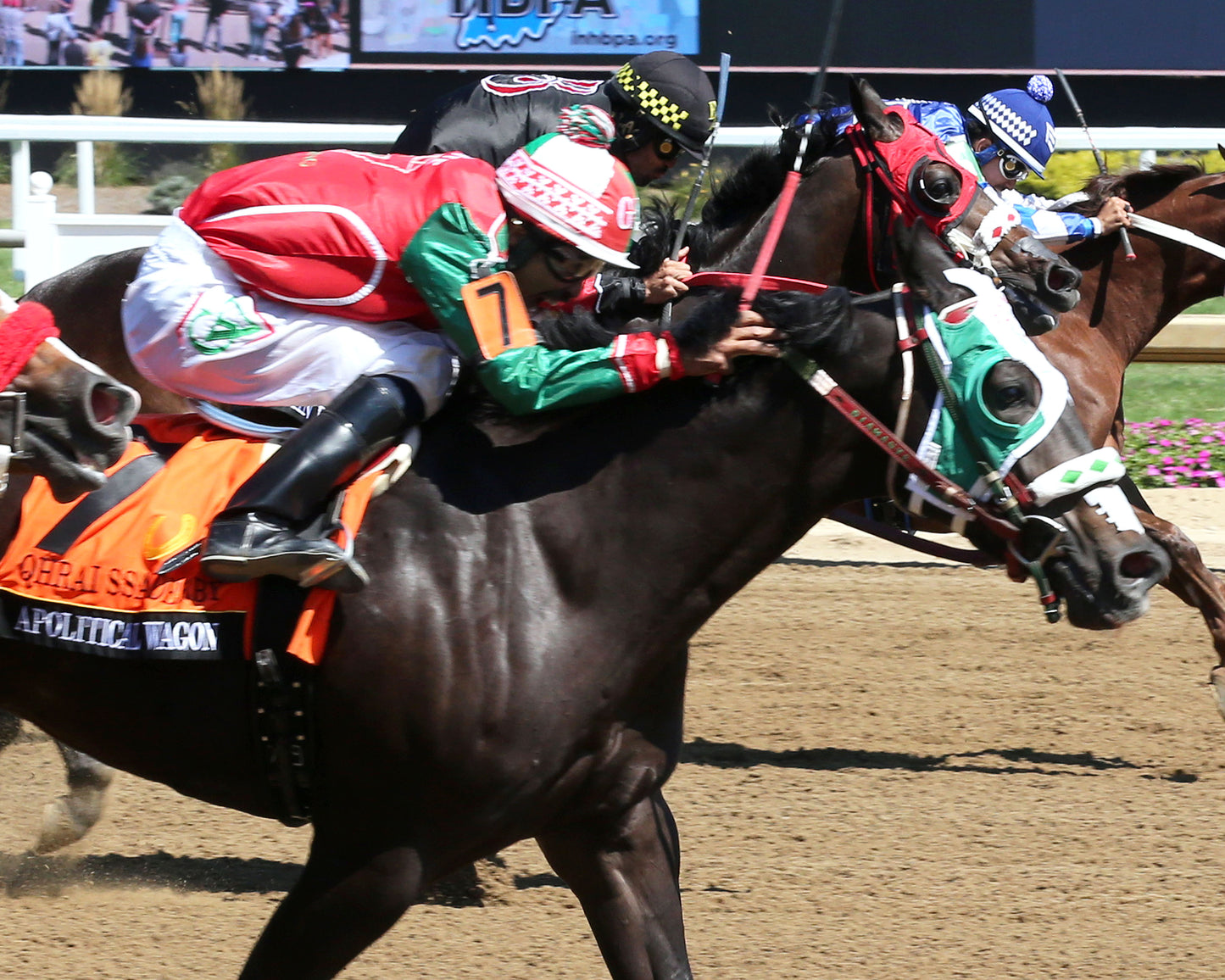APOLITICAL WAGON - QHRAI Stallion Service Auction Derby Finals - 08-30-25 - R09 - Horseshoe Indiana - Tight Finish 01 - Sammantha Pagels - Coady Media - Kurtis Coady Photography