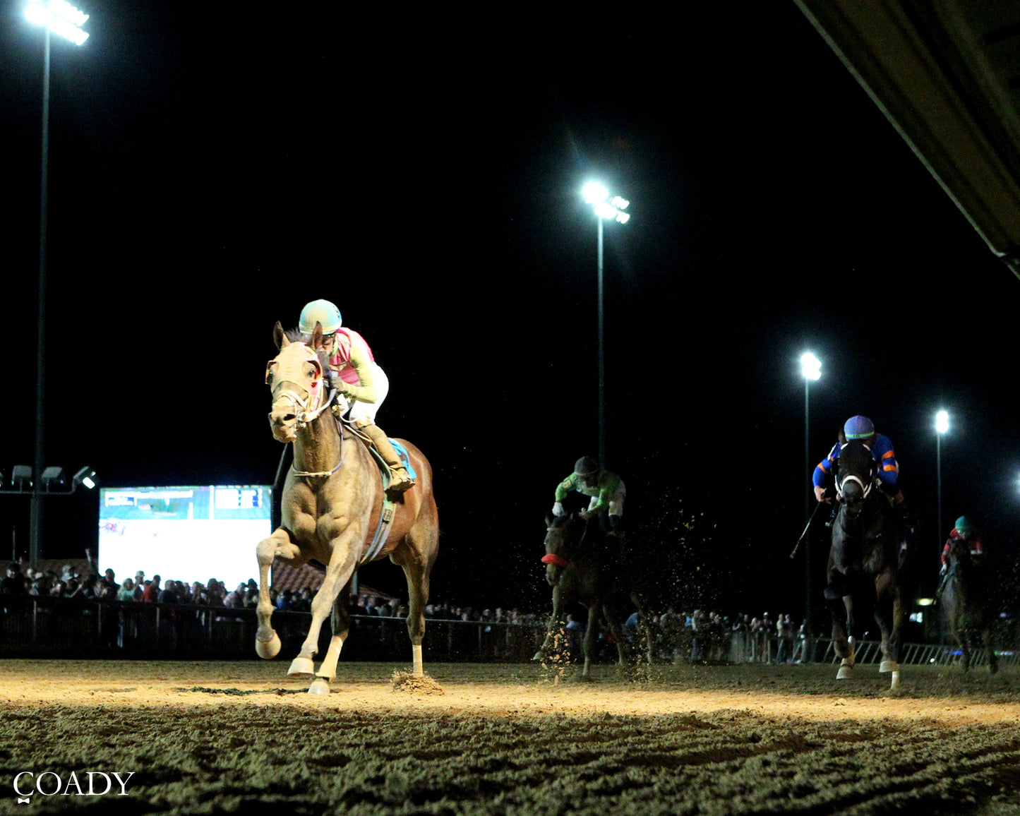 BARBADIAN RUNNER - 082225 - Race 09 - CT The Robert Hilton Memorial - Under Rail 01 - Coady Media - Kurtis Coady Photography