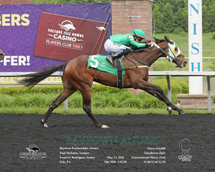 BAYTOWN ANUBIS - 05-27-26 - R01 - PID - Finish