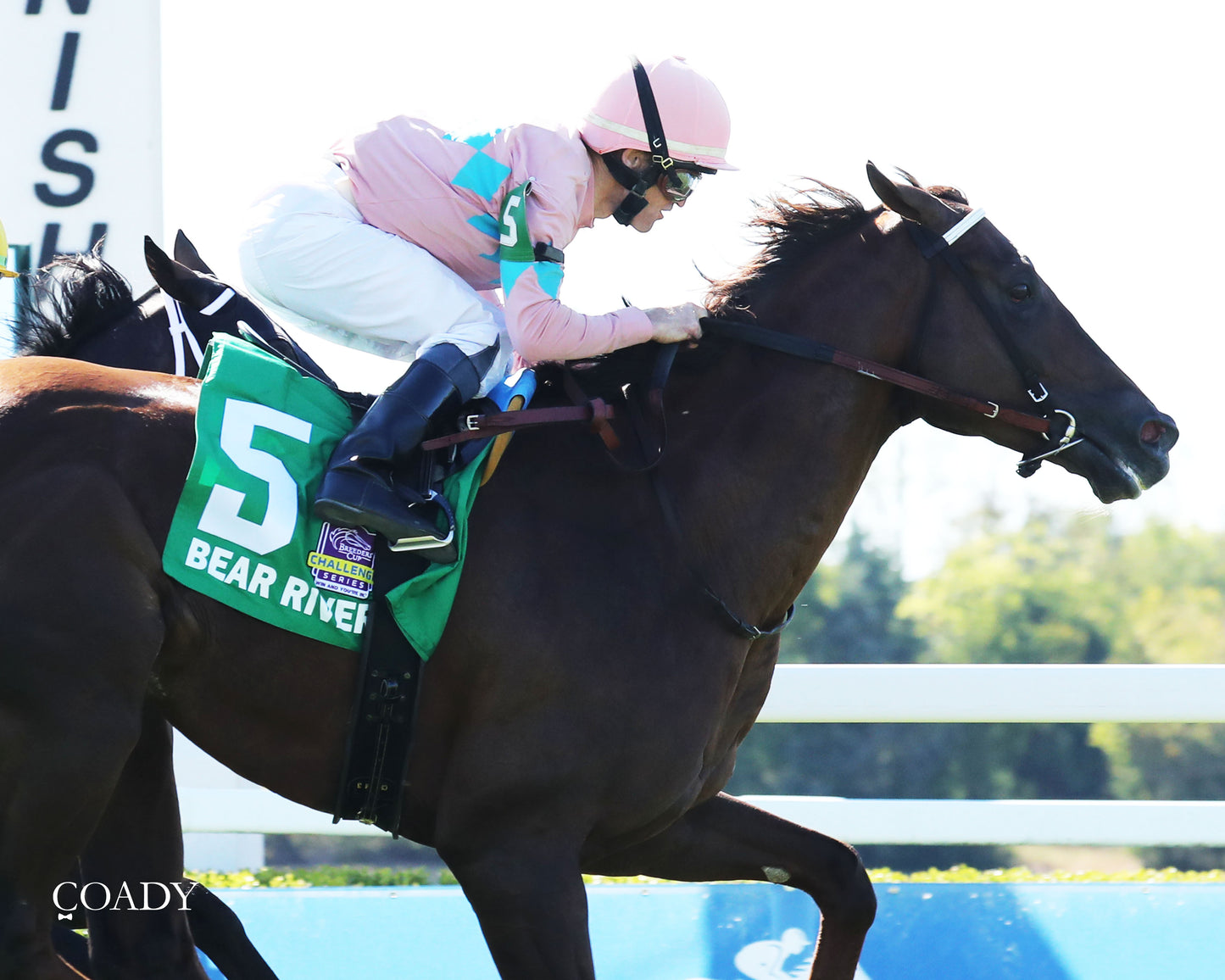 BEAR RIVER - Mint Kentucky Turf Sprint Stakes - G2 - 08-30-25 - R09 - KD - Finish 05 - Coady Media - Kurtis Coady Photography