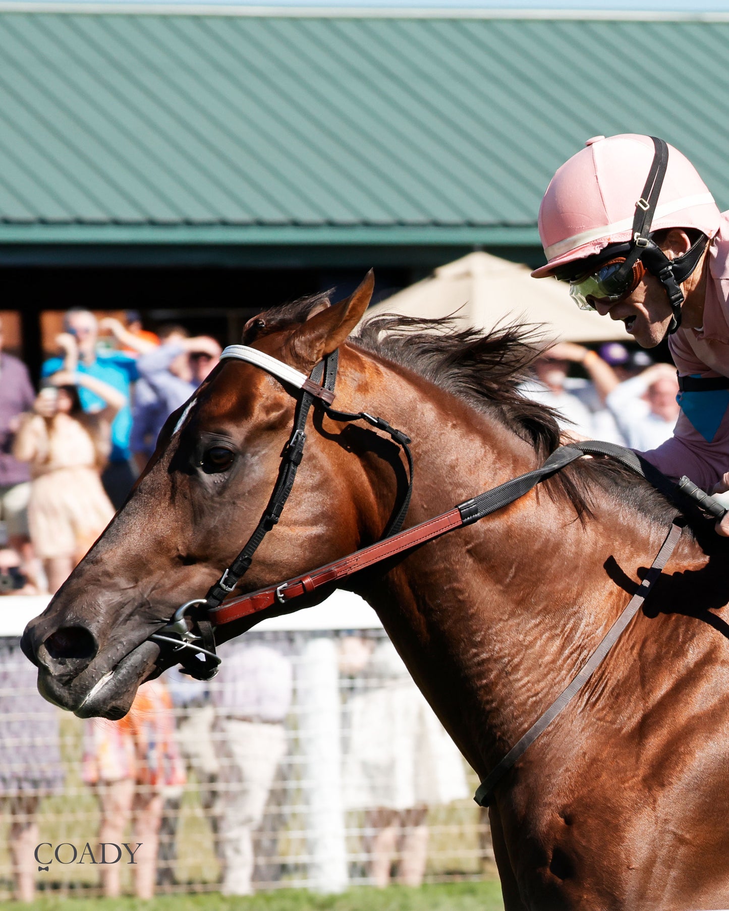 BEAR RIVER - Mint Kentucky Turf Sprint Stakes - G2 - 08-30-25 - R09 - KD - Inside Finish 03 - Coady Media - Kurtis Coady Photography