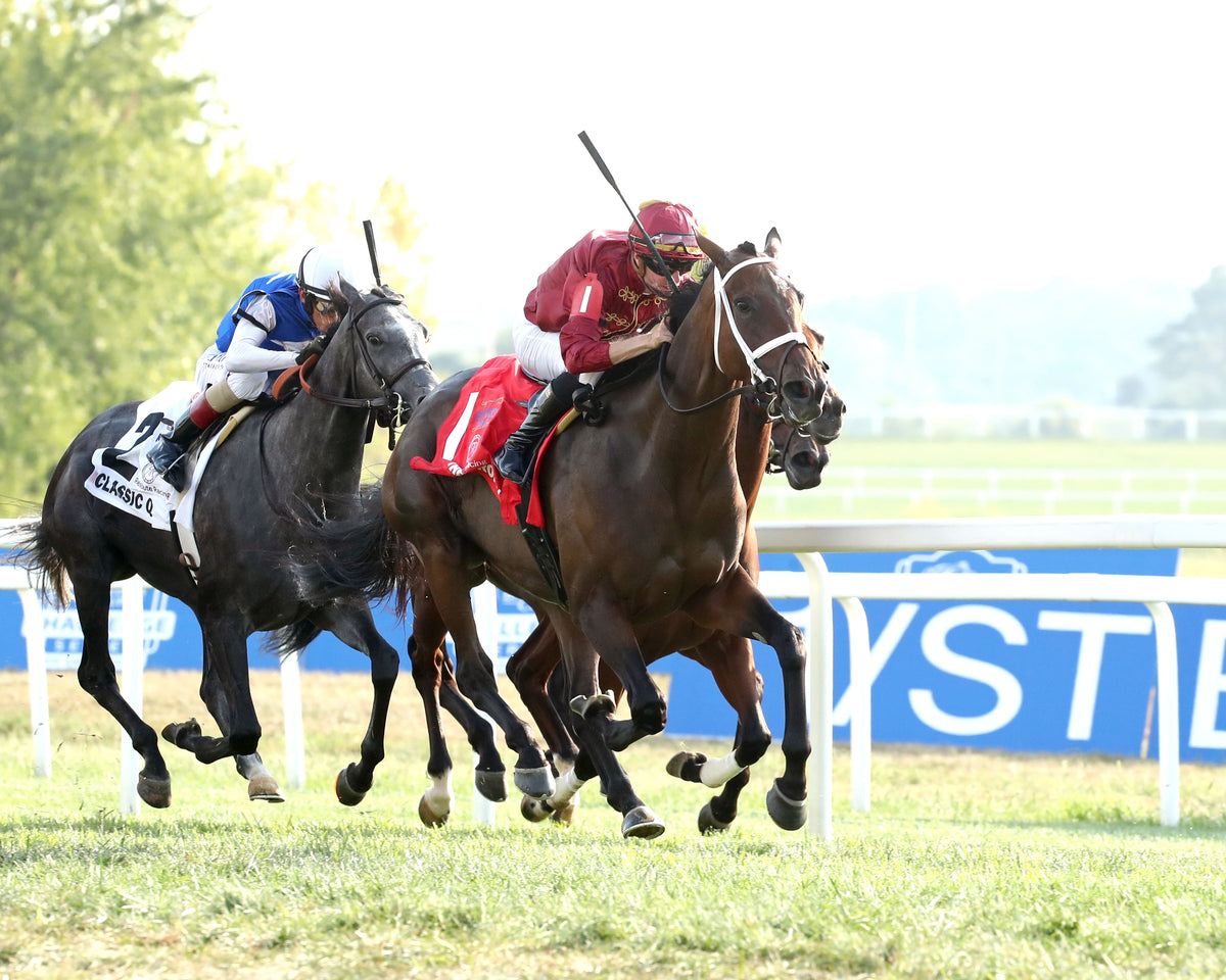 BLESS THE BROKEN - The Kentucky Downs Lady Turf G2 - 09-05-26 - R09 - KD - Finish 02