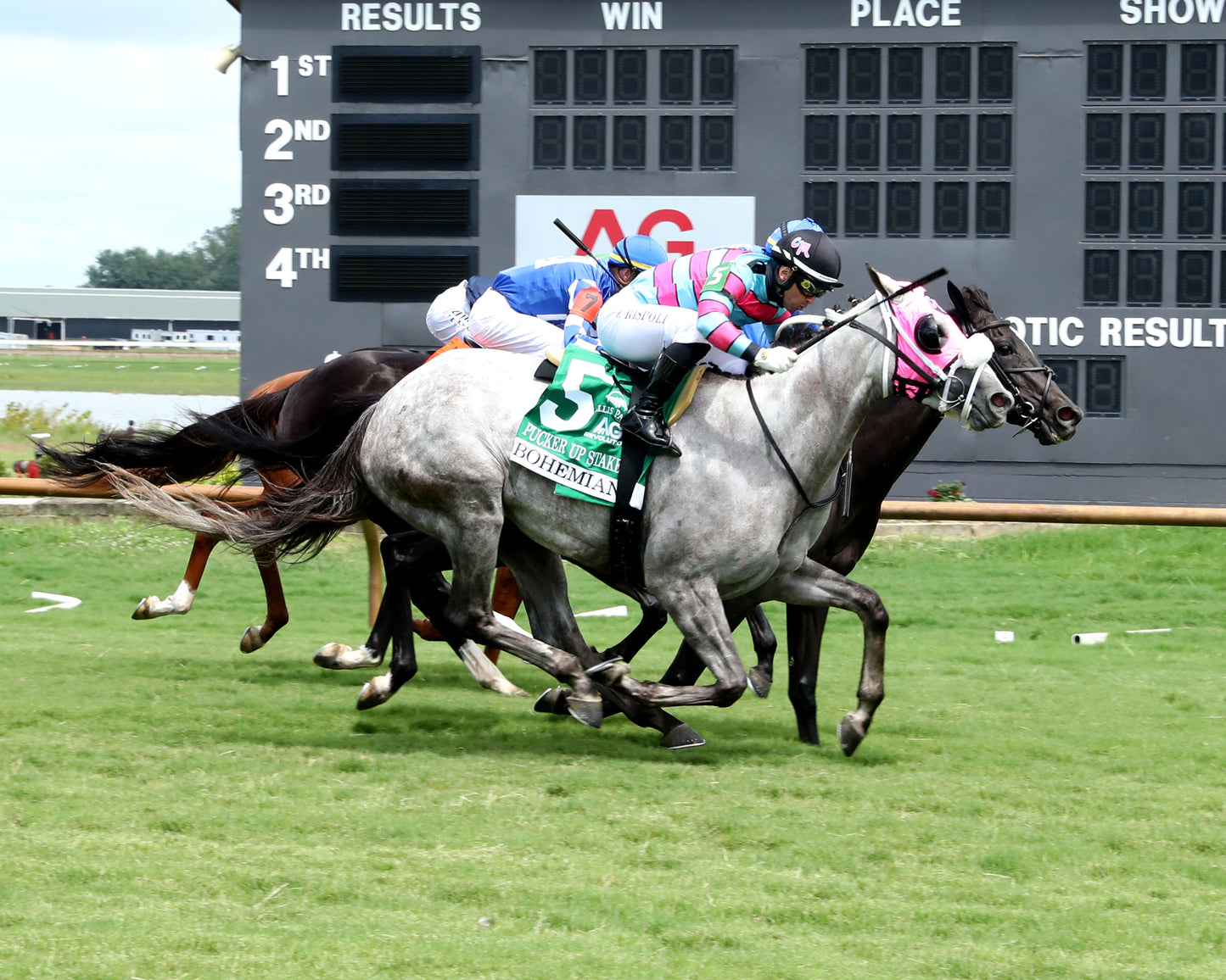 BOHEMIAN - 080226 - Race 06 - ELP - Finish 02