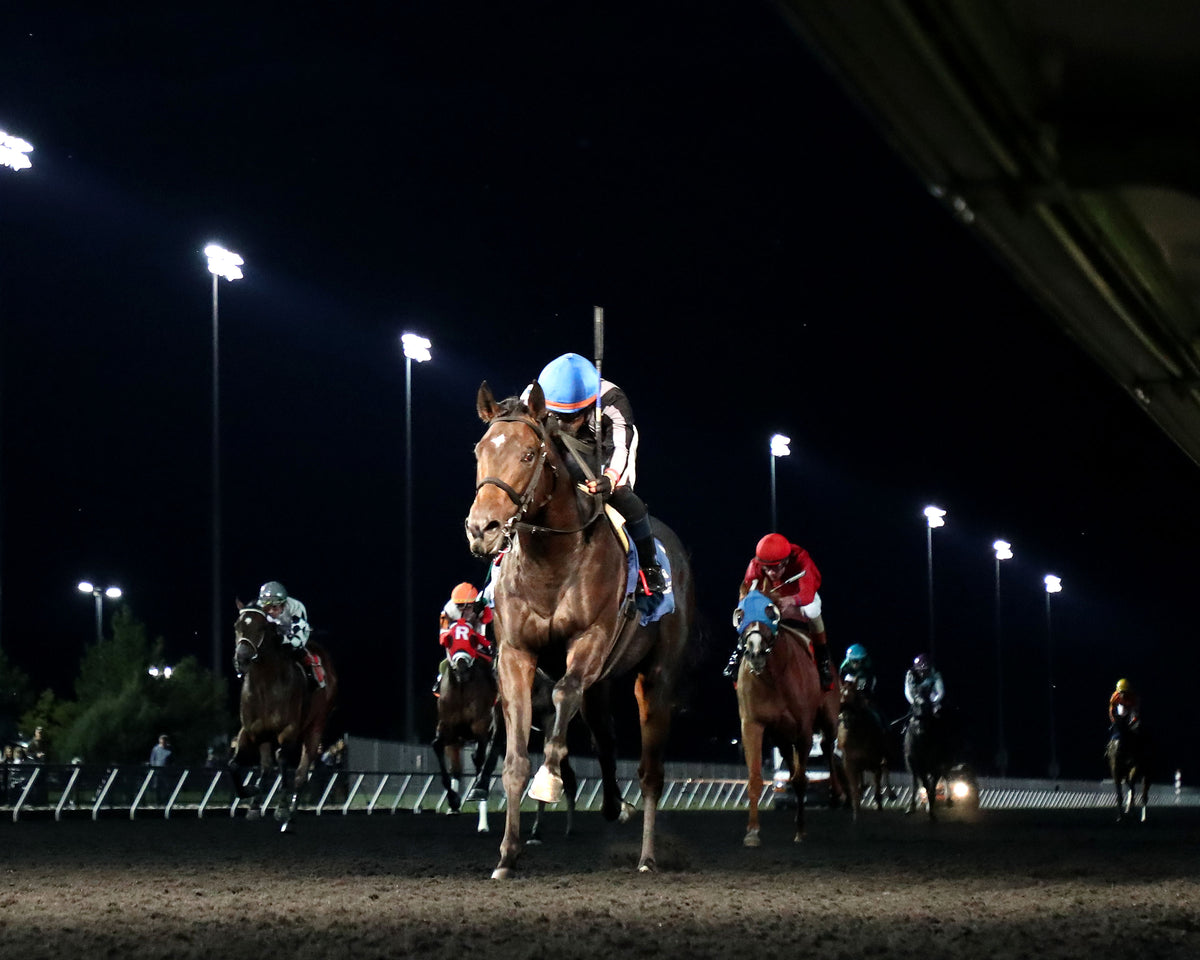 BOSSY WOSSY - The Fitz Dixon Jr. Memorial Juvenile Stakes - 09-18-26 - R07 - PID - Under Rail