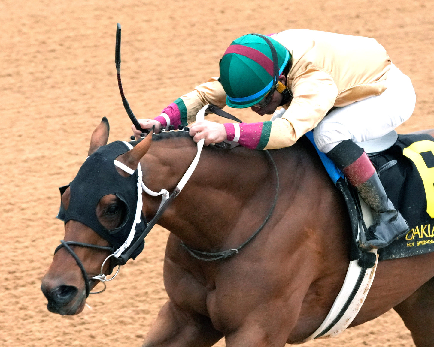 BOURBON BASH - Commodore Overnight Stakes - 01-03-26 - R09 - OP - Inside Finish 01