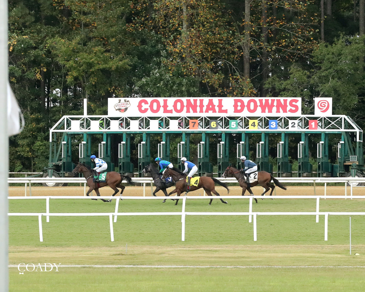 BOX OFFICE WARRIOR - 09-11-25 - R02 - CNL - Action 05