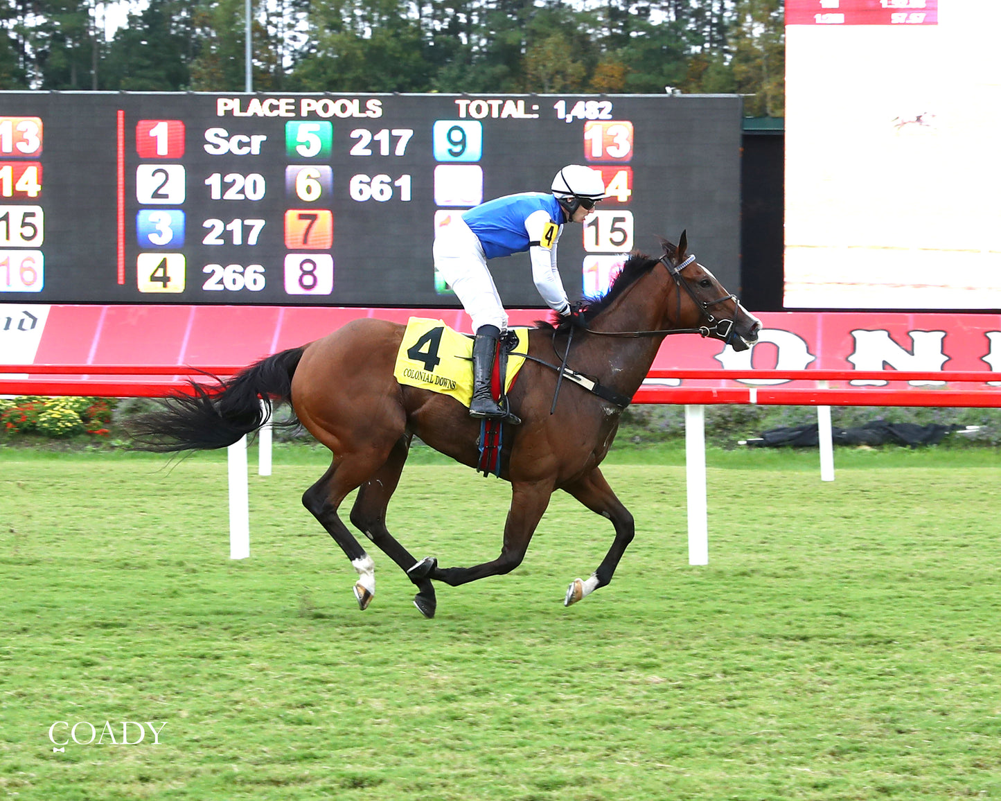 BOX OFFICE WARRIOR - 09-11-25 - R02 - CNL - Finish 01 - Coady Media - Kurtis Coady Photography