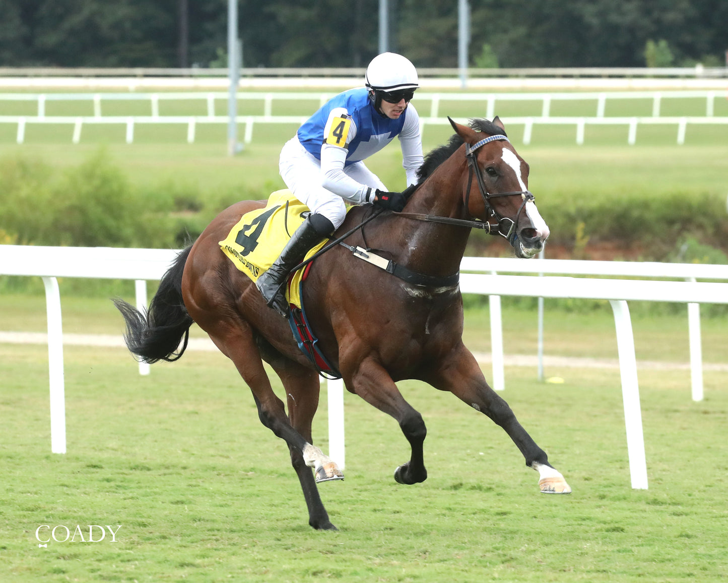 BOX OFFICE WARRIOR - 09-11-25 - R02 - CNL - Finish 04 - Coady Media - Kurtis Coady Photography