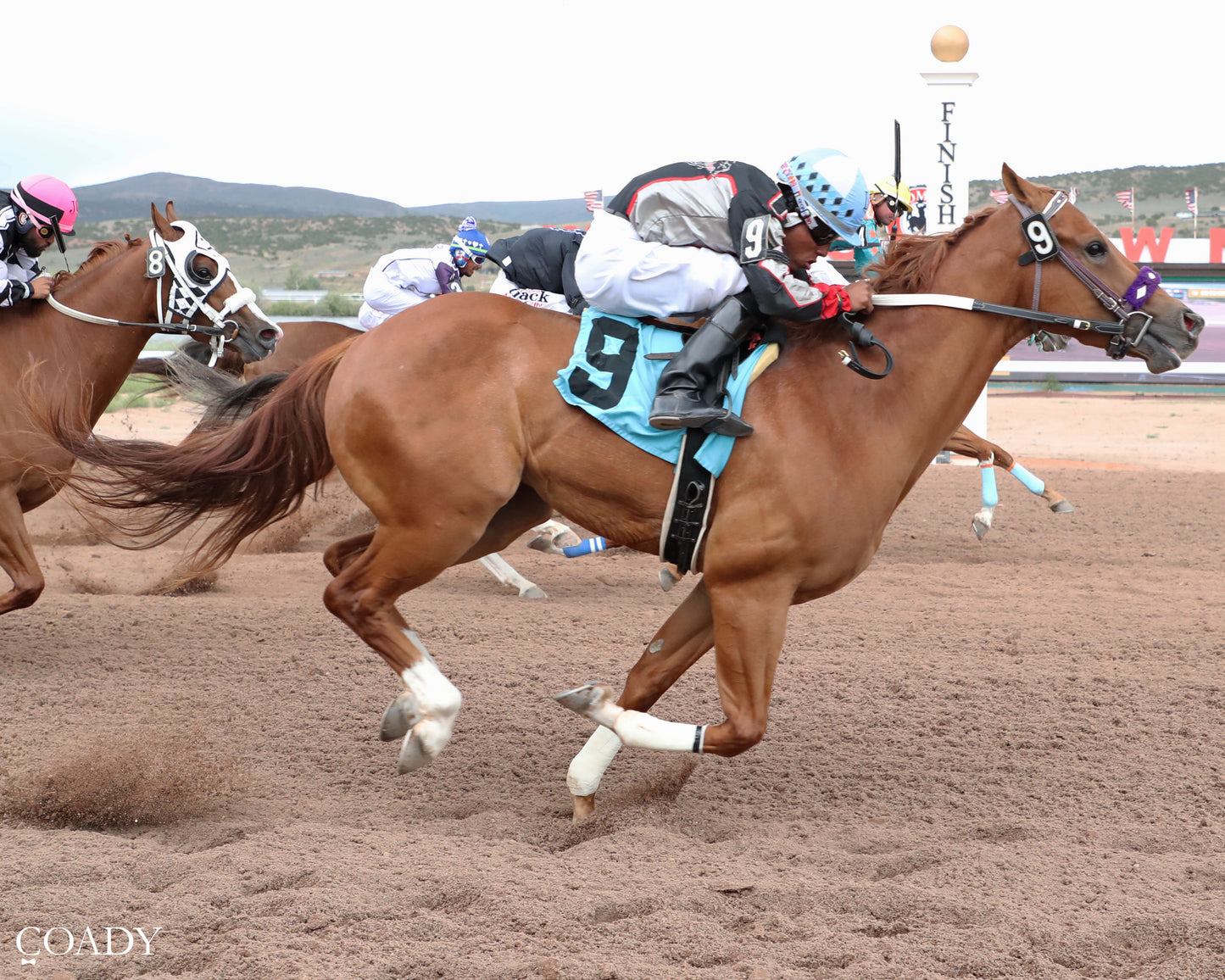 BP CAUGHT DOWN SOUTH - Gary Waite Maiden Stakes Trials - 07-02-26 - R02 - WYO