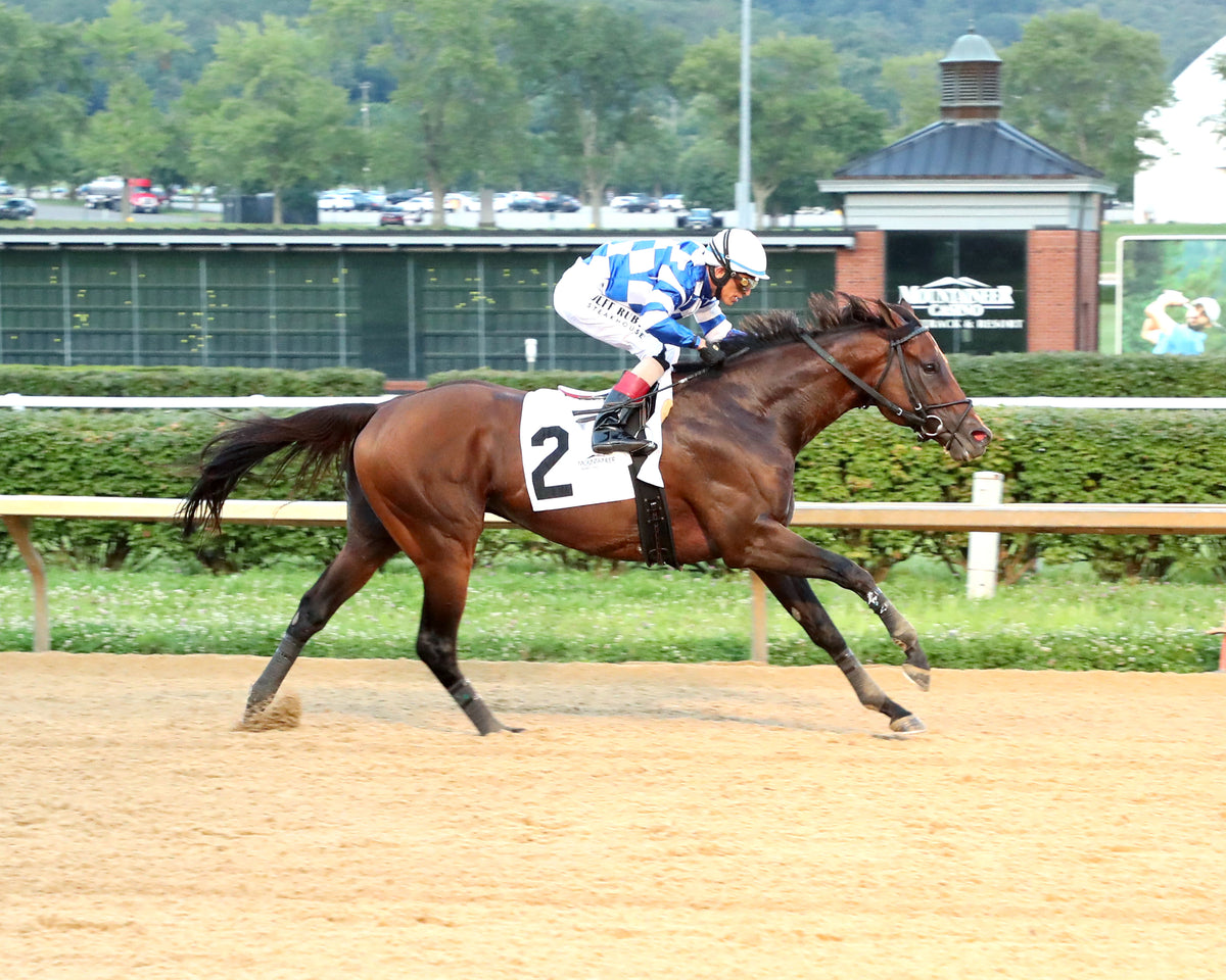 BRACKET BUSTER - The West Virginia Governor's Stakes - 08-09-26 - R07 - MNR - Finish 01