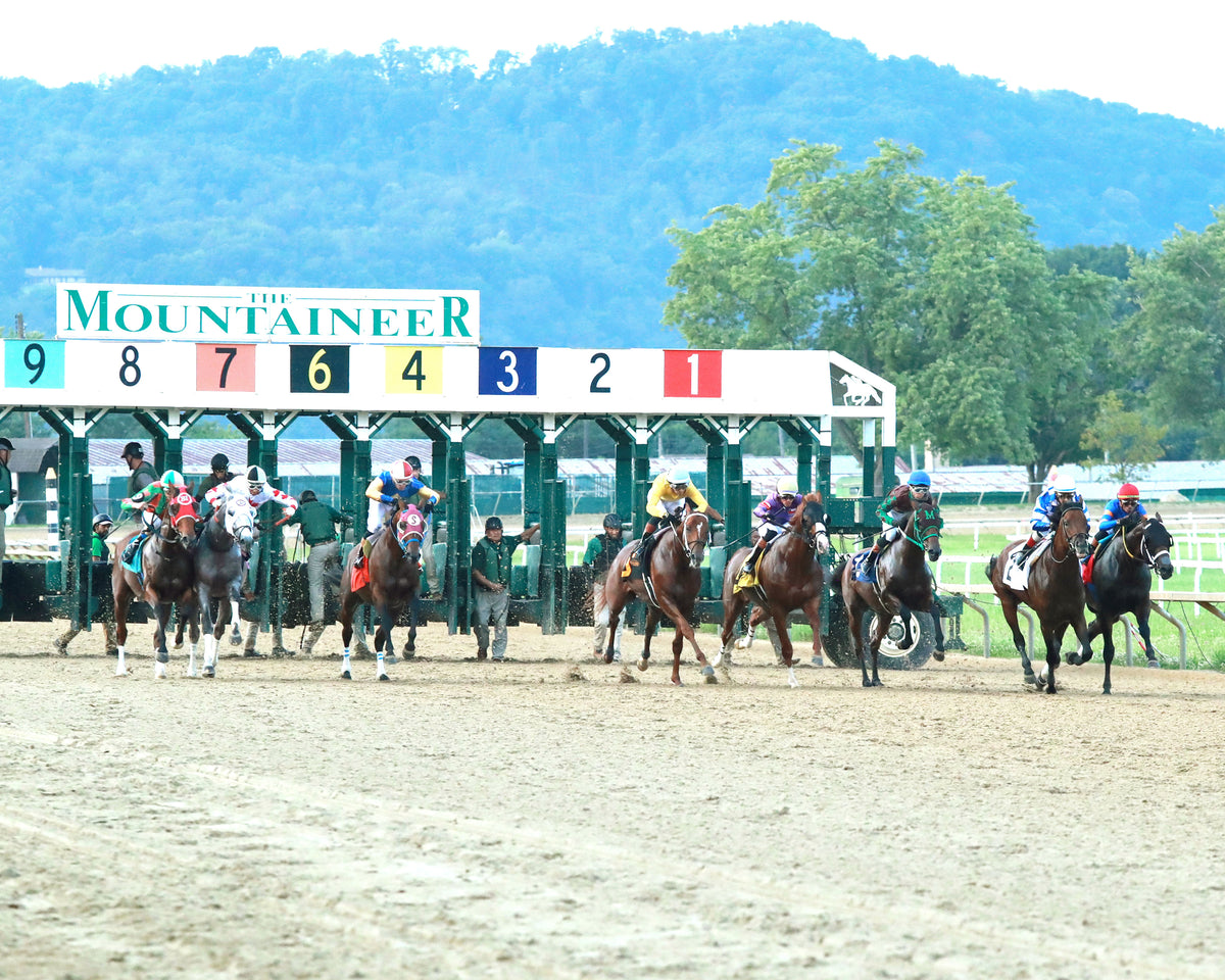 BRACKET BUSTER - The West Virginia Governor's Stakes - 08-09-26 - R07 - MNR - Start 01