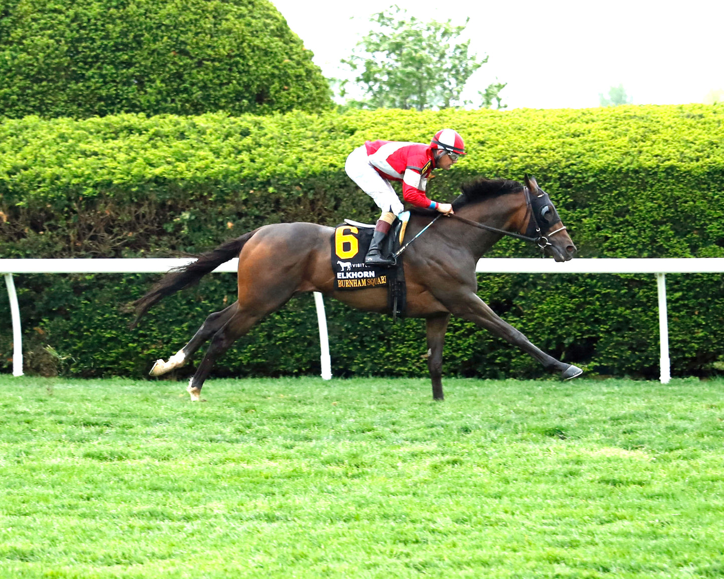 BURNHAM SQUARE - 041826 - Race 10 - KEE The VisitLEX Elkhorn G2 - Finish 01 - Coady Media - Kurtis Coady Photography
