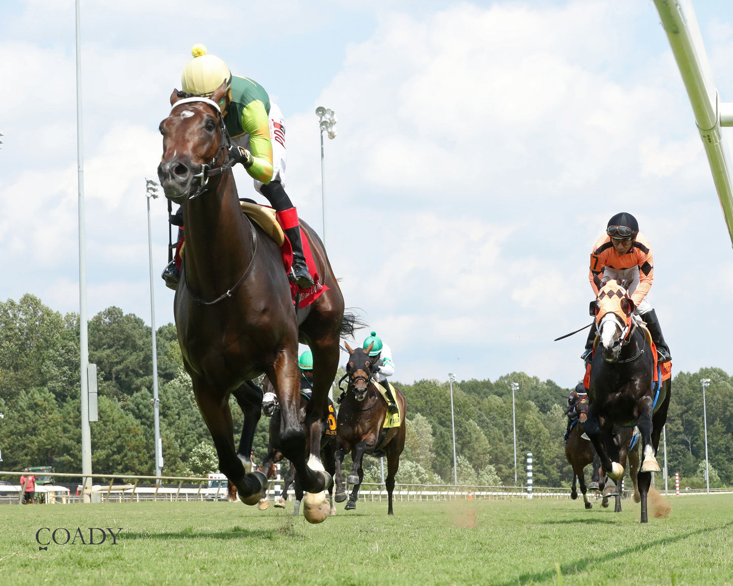 CASA CIELO - The Kitten's Joy Stakes - 09-06-25 - R05 - CNL - Under Rail 01 - Coady Media - Kurtis Coady Photography