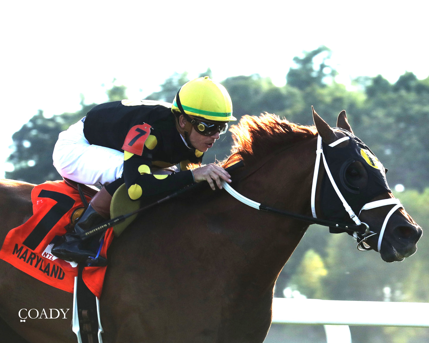 CHASING THE CROWN - The NTL Tight Spot Overnight Handicap - 08-31-25 - KD - Finish 02 - Coady Media - Kurtis Coady Photography