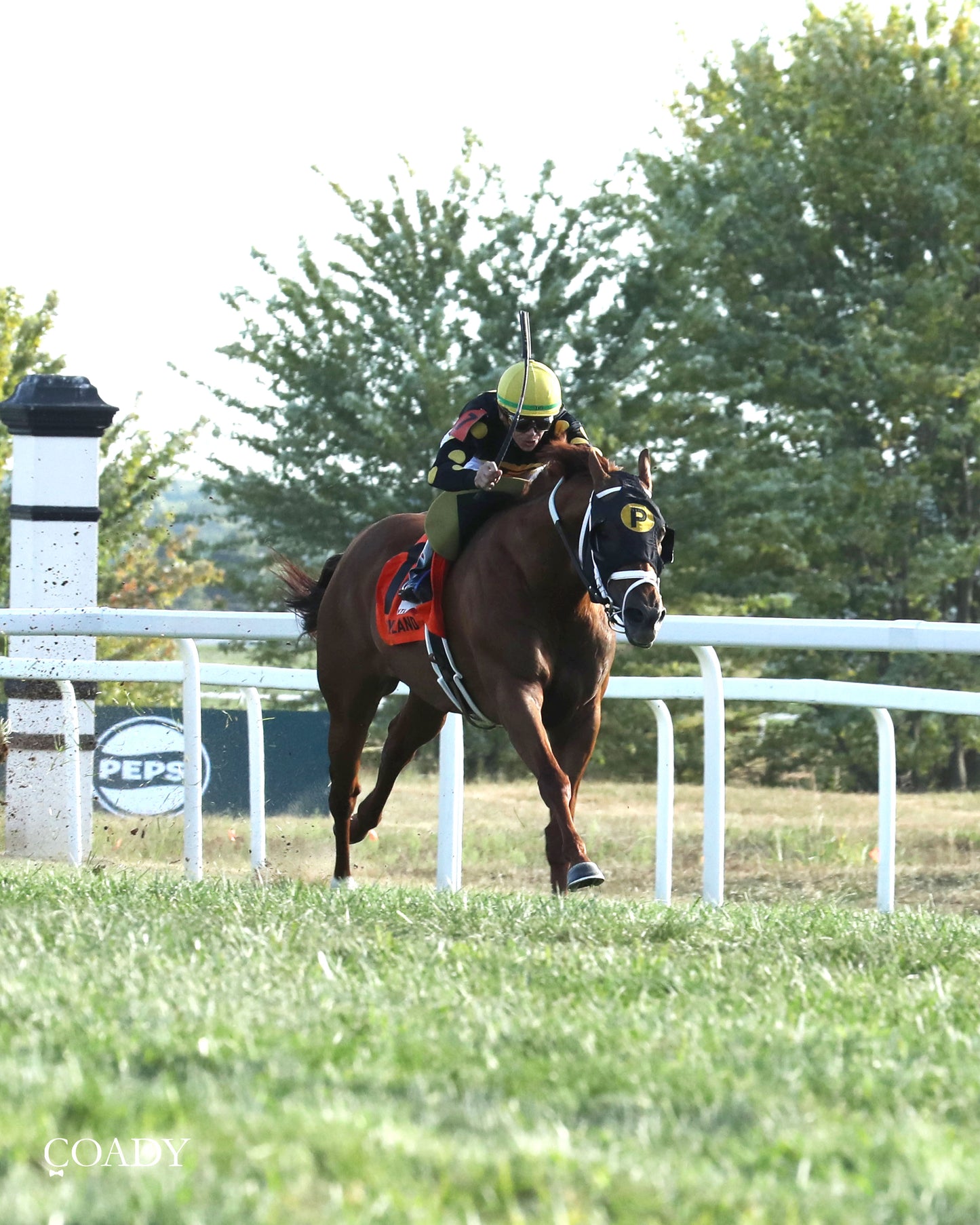 CHASING THE CROWN - The NTL Tight Spot Overnight Handicap - 08-31-25 - KD - Finish 05 - Coady Media - Kurtis Coady Photography