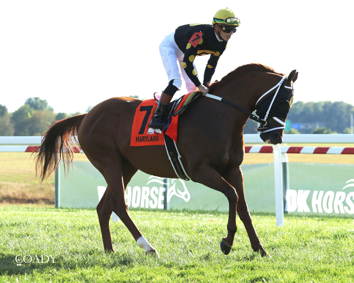 CHASING THE CROWN - The NTL Tight Spot Overnight Handicap - 08-31-25 - KD - Post Parade 01 - Coady Media - Kurtis Coady Photography