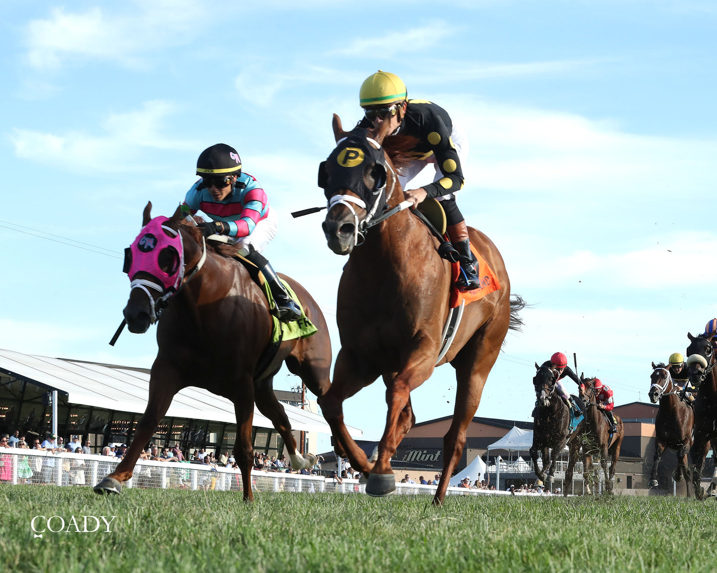 CHASING THE CROWN - The NTL Tight Spot Overnight Handicap - 08-31-25 - KD - Under Rail 01 - Coady Media - Kurtis Coady Photography