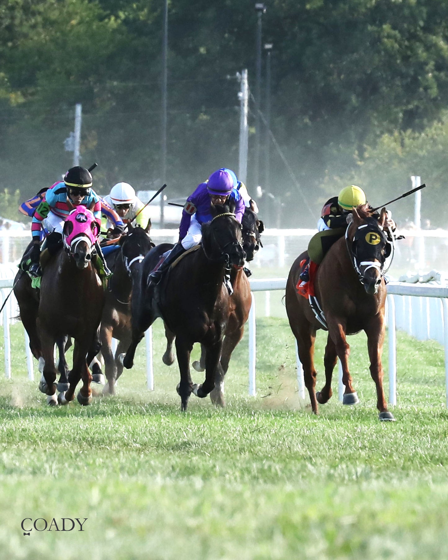 CHASING THE CROWN - The NTL Tight Spot Overnight Handicap - 08-31-25 - KD - Up the Track 01 - Coady Media - Kurtis Coady Photography