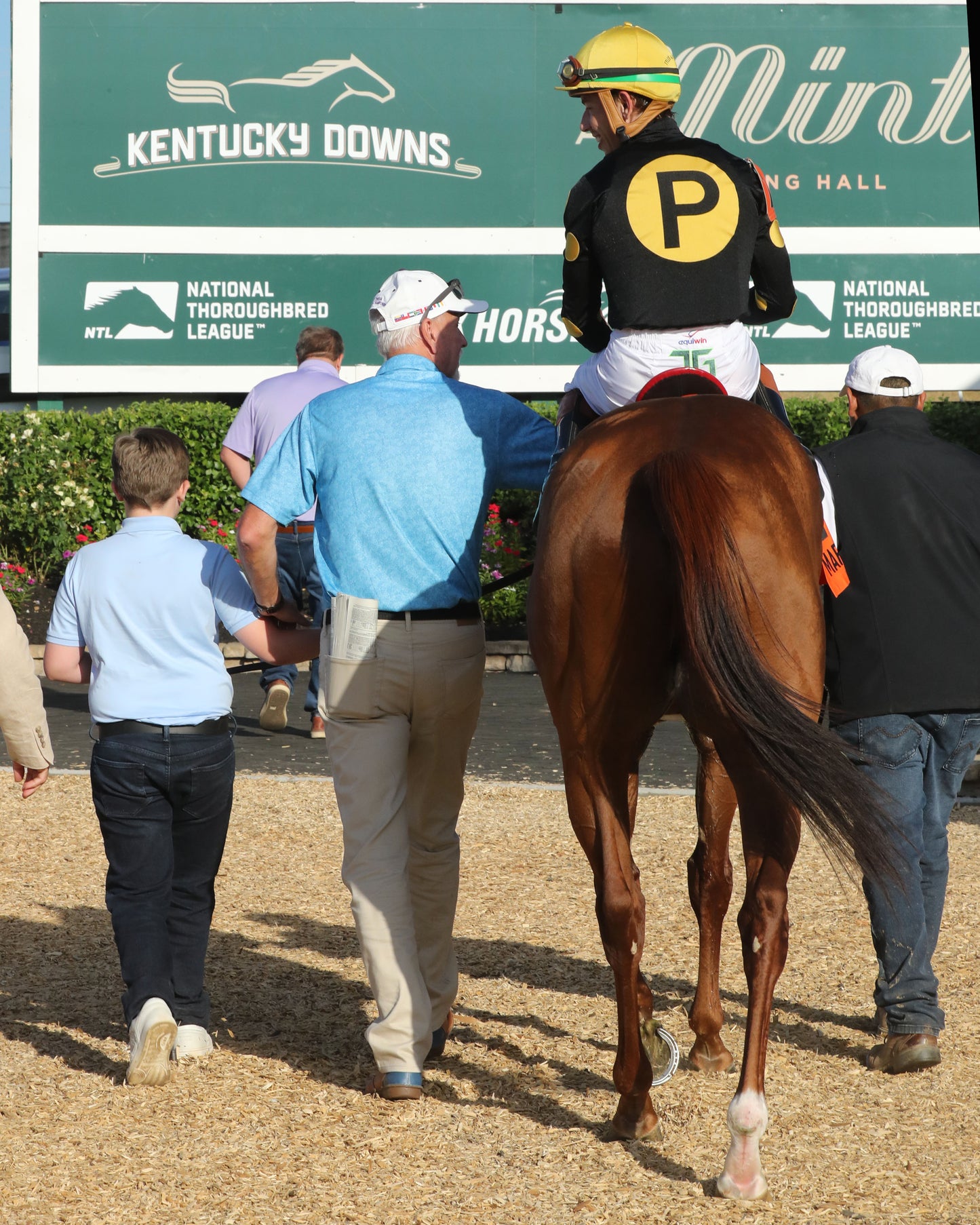 CHASING THE CROWN - The NTL Tight Spot Overnight Handicap - 08-31-25 - KD - Walk In 01 - Coady Media - Kurtis Coady Photography