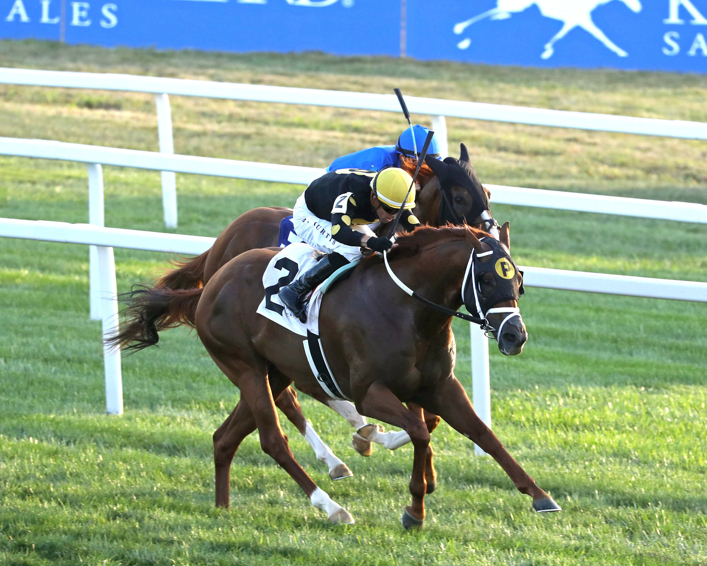 CHASING THE CROWN - The Tight Spot Overnight Handicap - 08-29-26 - R10 - KD - Aerial Finish 01