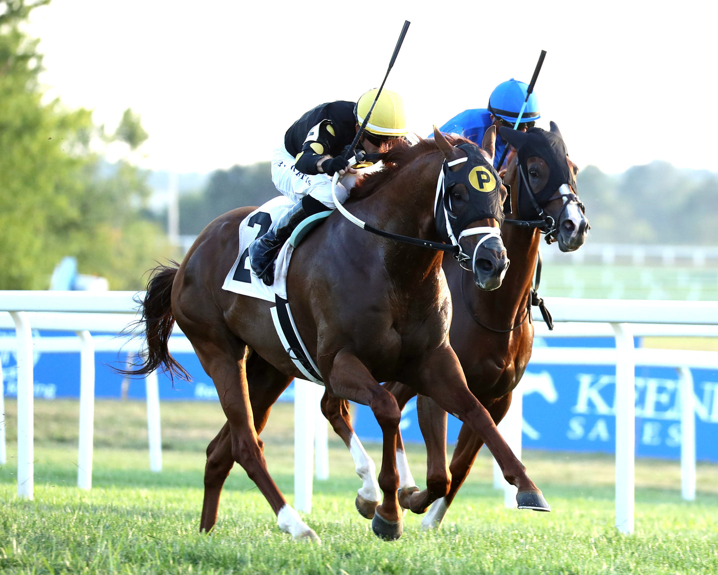 CHASING THE CROWN - The Tight Spot Overnight Handicap - 08-29-26 - R10 - KD - Finish 02