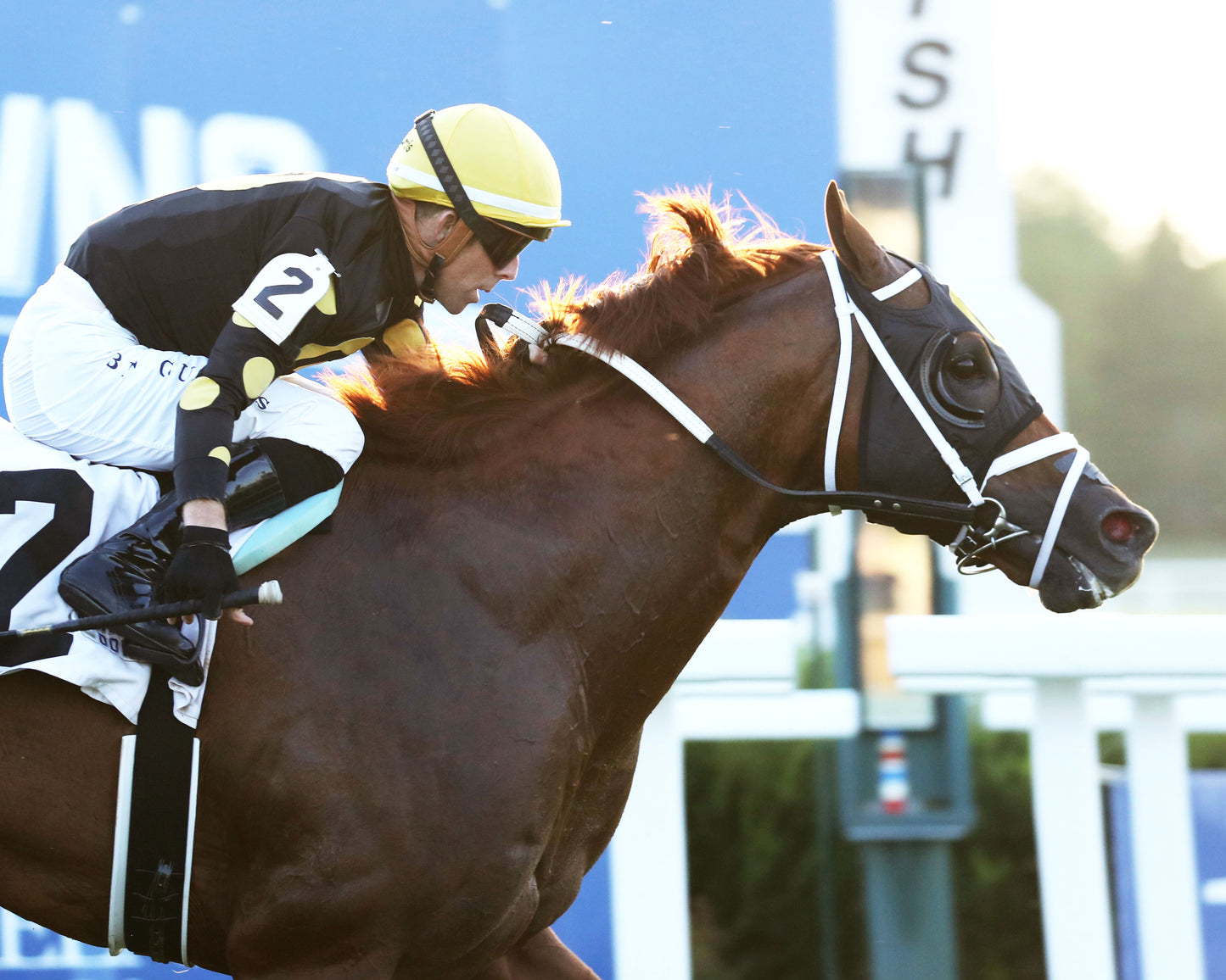 CHASING THE CROWN - The Tight Spot Overnight Handicap - 08-29-26 - R10 - KD - Finish 04