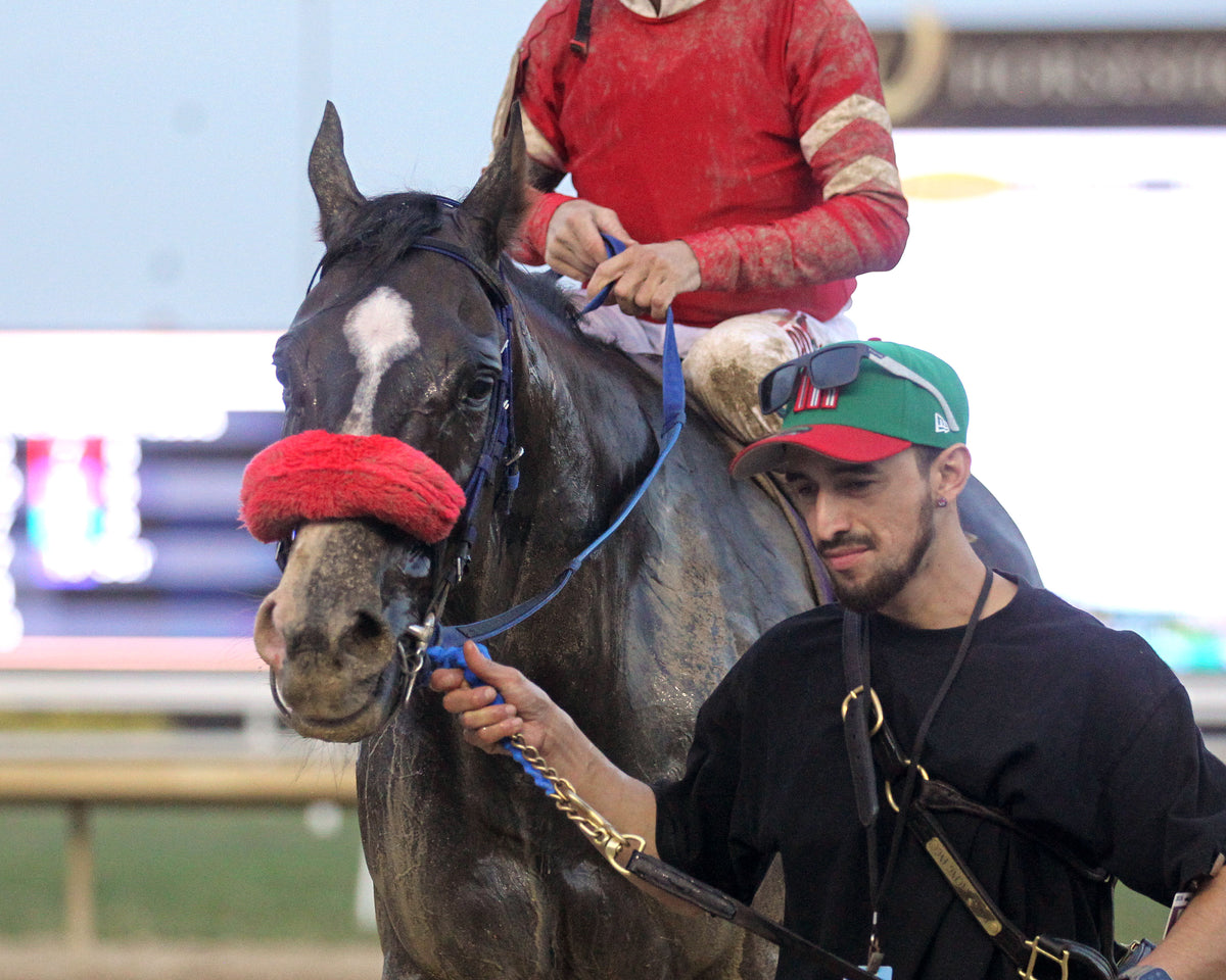 CHICORY BLAZE - To Much Coffee - 29th Running - 09-30-26 - R10 - Horseshoe Indiana - Comeback 01 - Casey Cable