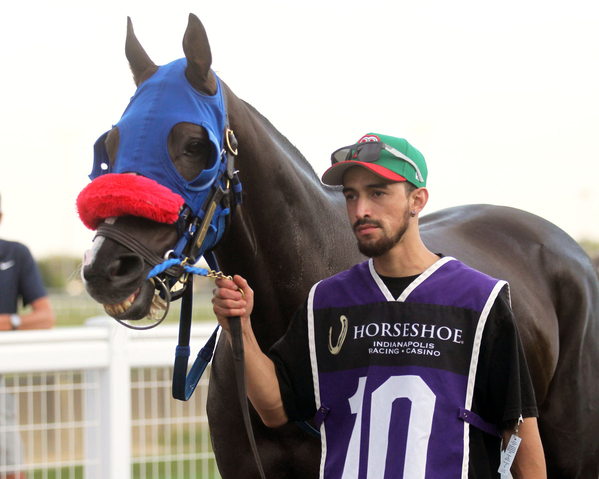 CHICORY BLAZE - To Much Coffee - 29th Running - 09-30-26 - R10 - Horseshoe Indiana - Paddock 01 - Casey Cable