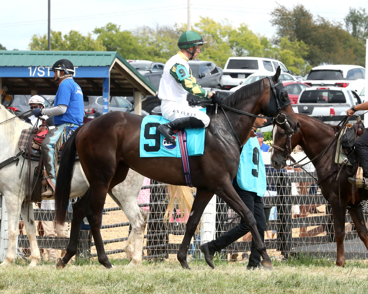 CITRUS SPRINGS - The Kentucky Downs Juvenile Fillies - 09-07-26 - R07 - KD - Post Parade 01