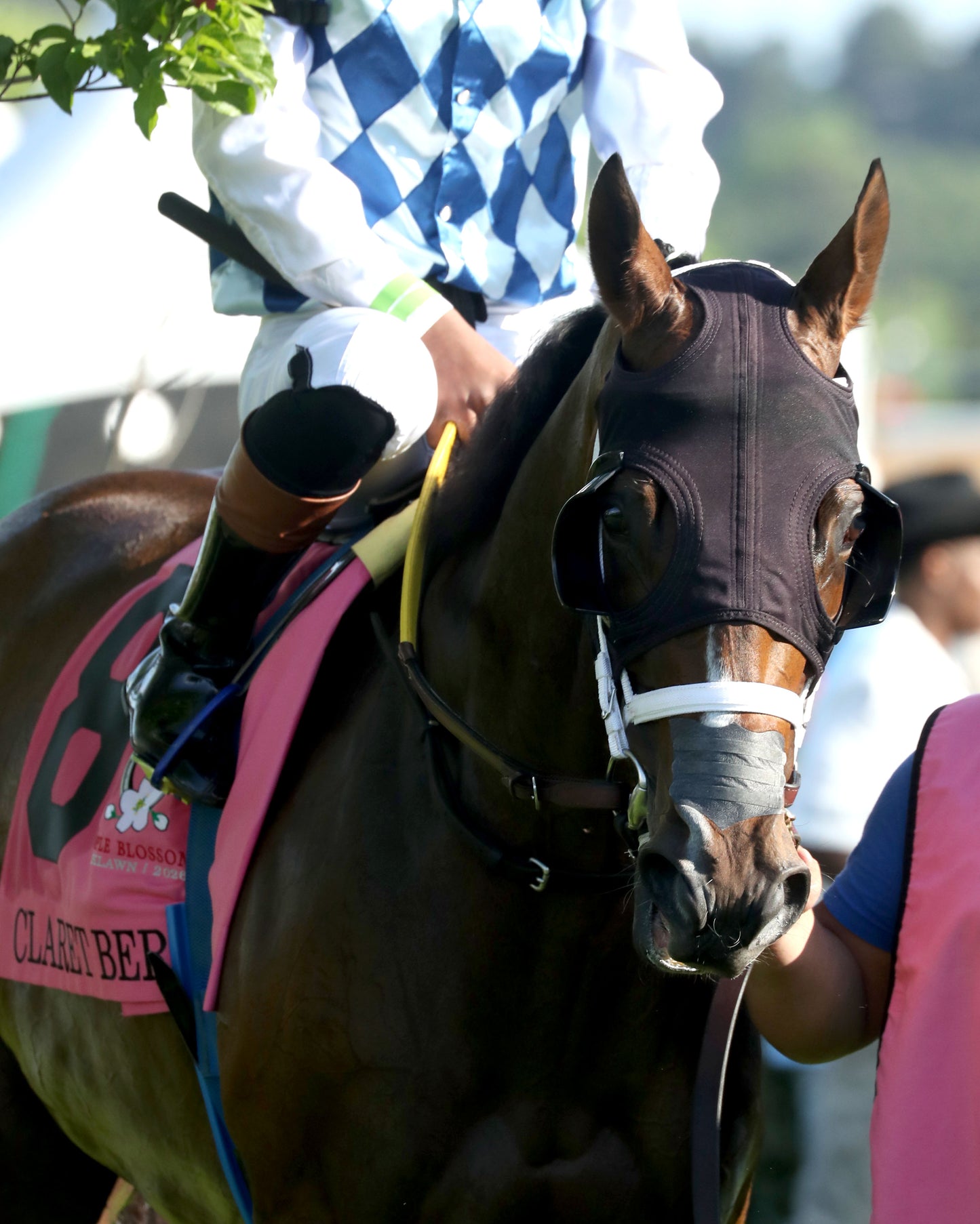CLARET BERET - Apple Blossom Handicap G1 - 04-11-26 - R10 - OP - Paddock 01 - Coady Media - Kurtis Coady Photography
