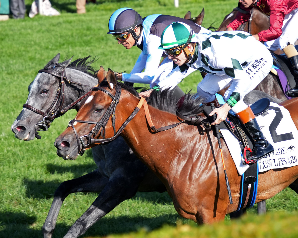 CLASSIC Q - 100326 - Race 08 - KEE The First Lady G1 - Inside Finish 02